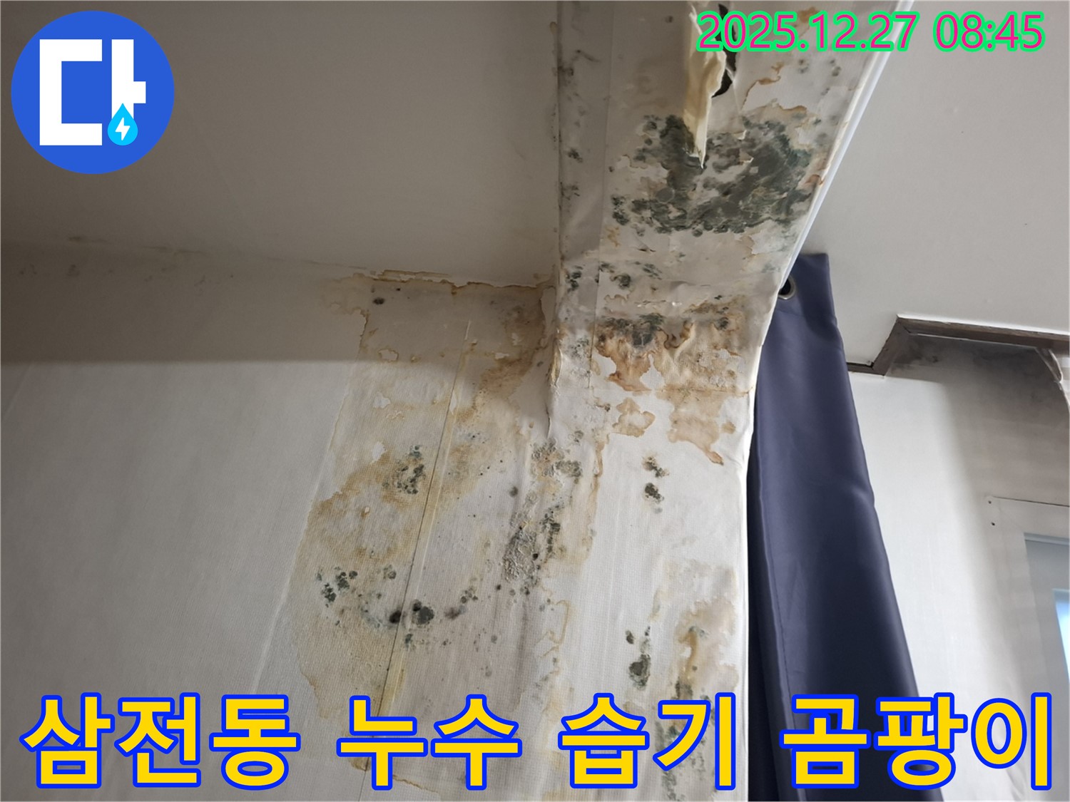 삼전동 누수 현장 - 벽면 습기와 곰팡이 발생, 누수탐지 전문가의 습기와의 전쟁