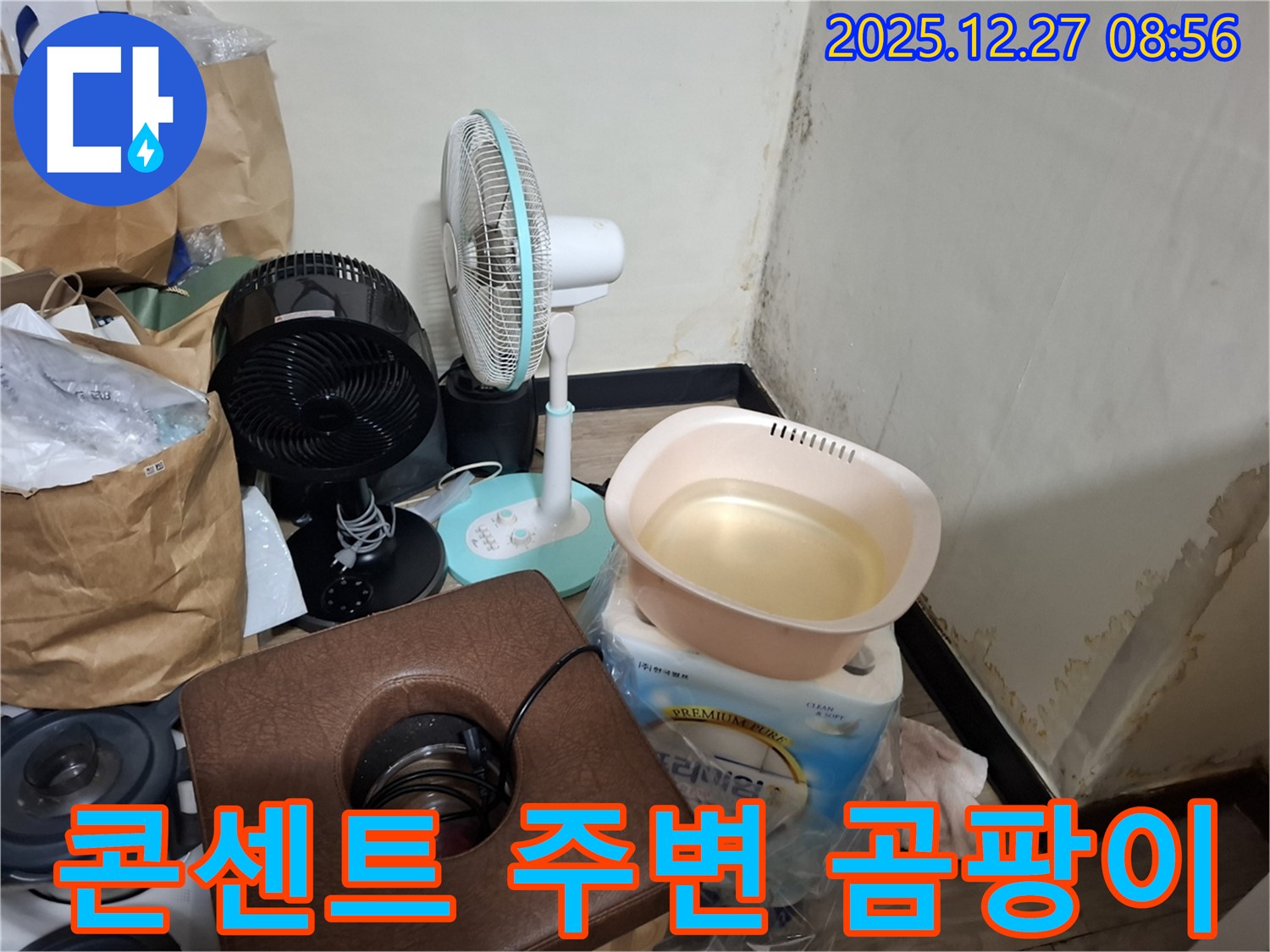 삼전동 누수 현장 - 콘센트 주변 곰팡이 - 전기 문제 의심 - 안전 점검 필수.