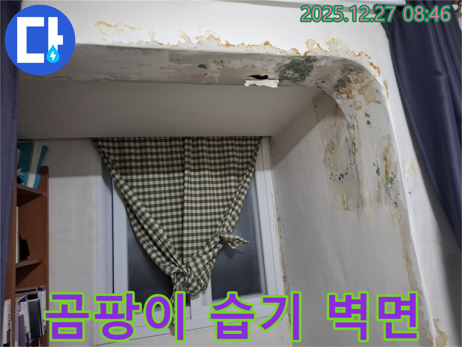 송파구 가락동 - 곰팡이와 습기로 얼룩진 벽면 - 누수 의심