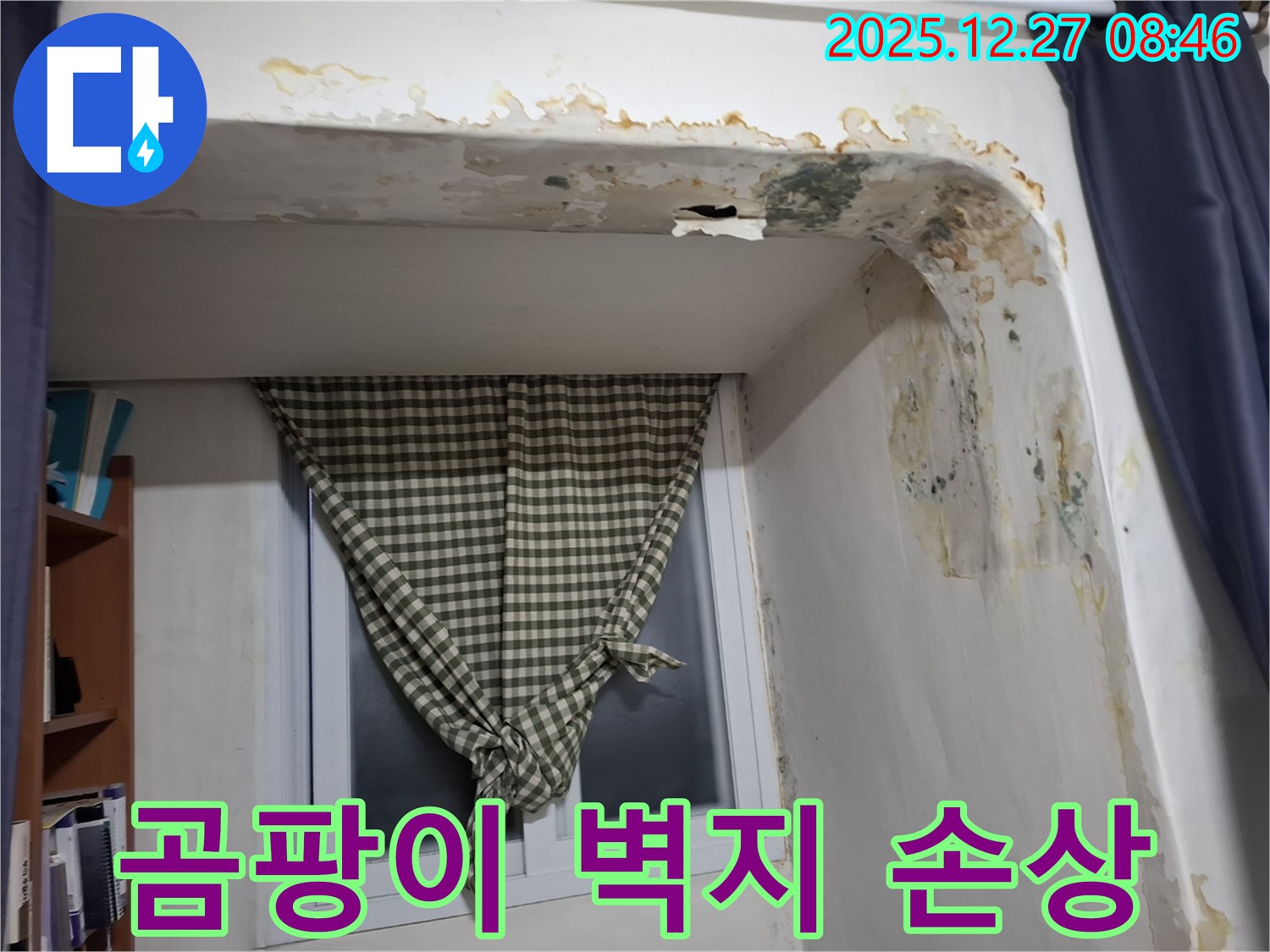 송파구 마천동 - 곰팡이 발생 및 벽지 손상 - 누수 의심