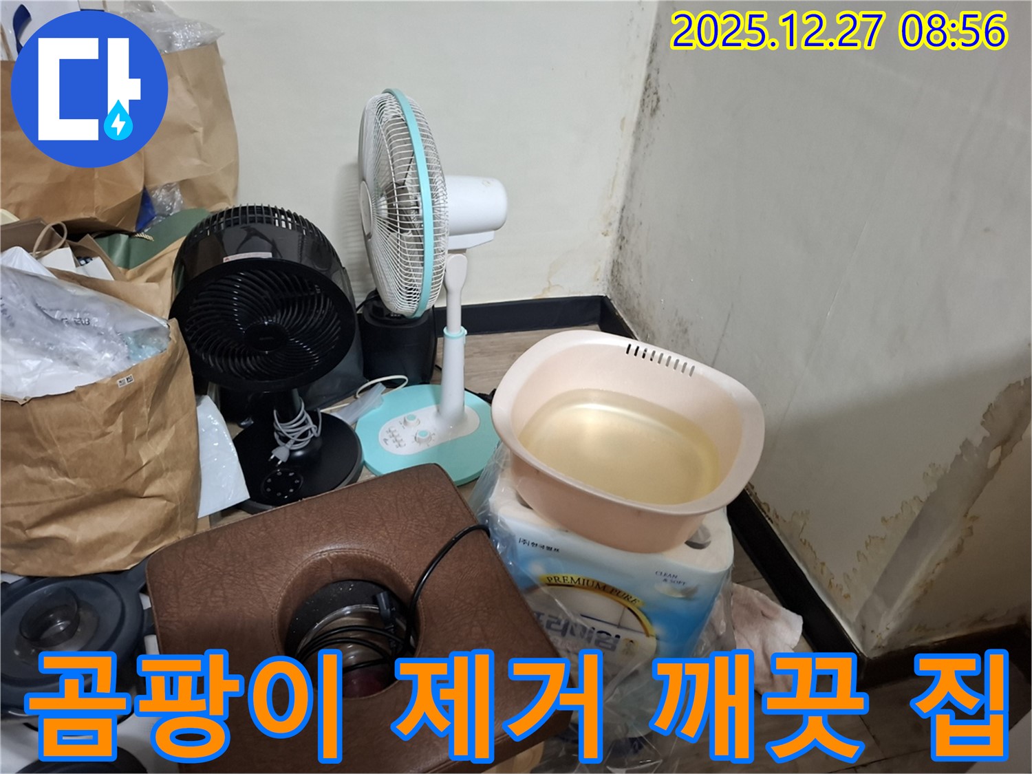 송파구 삼전동 누수 현장 - 곰팡이 없는 깨끗한 집에서 건강하게! - 행복한 가정.