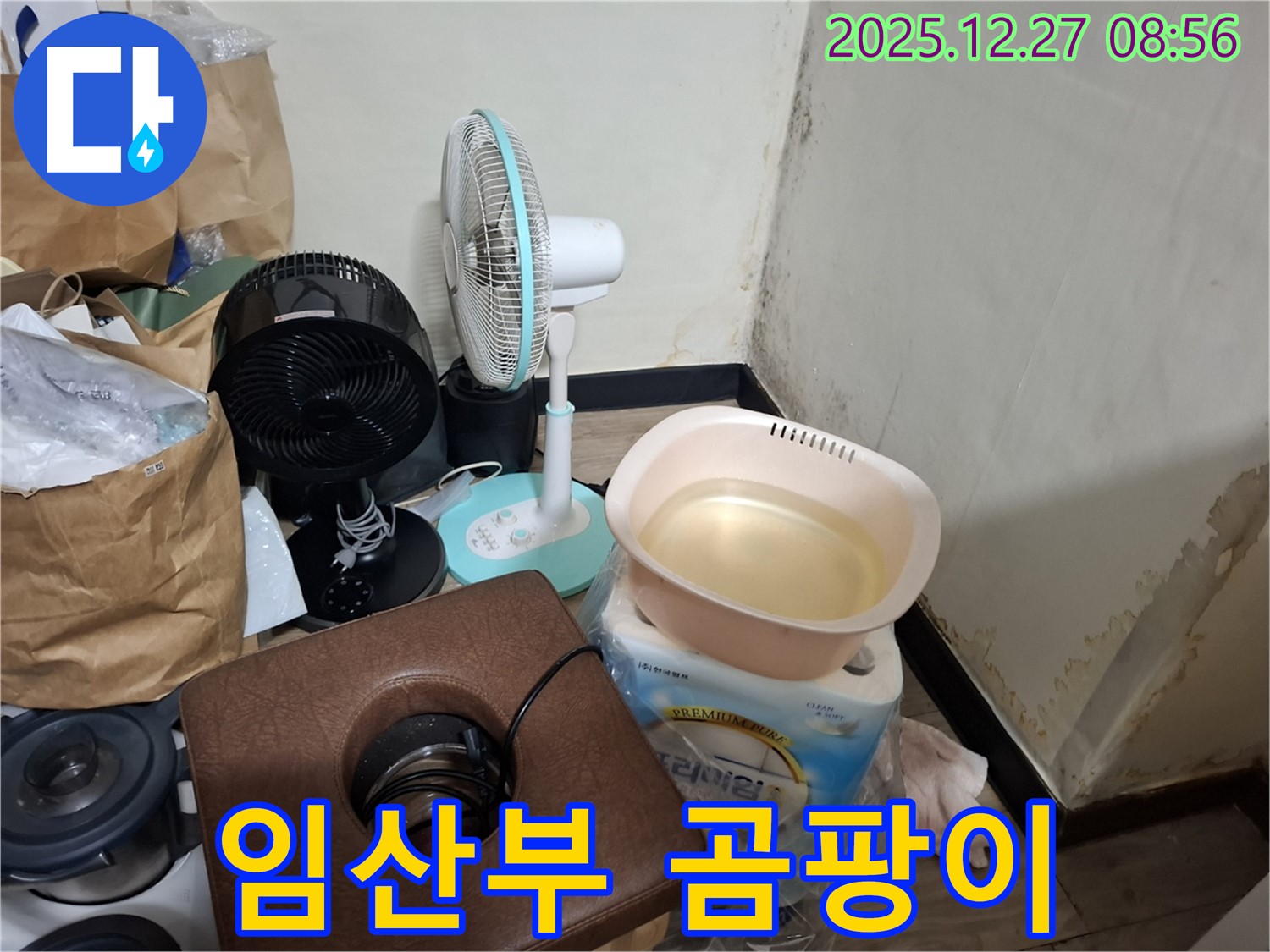 송파구 삼전동 누수 현장 - 곰팡이 - 임산부에게도 위험할까요? - 쾌적한 환경이 중요합니다.