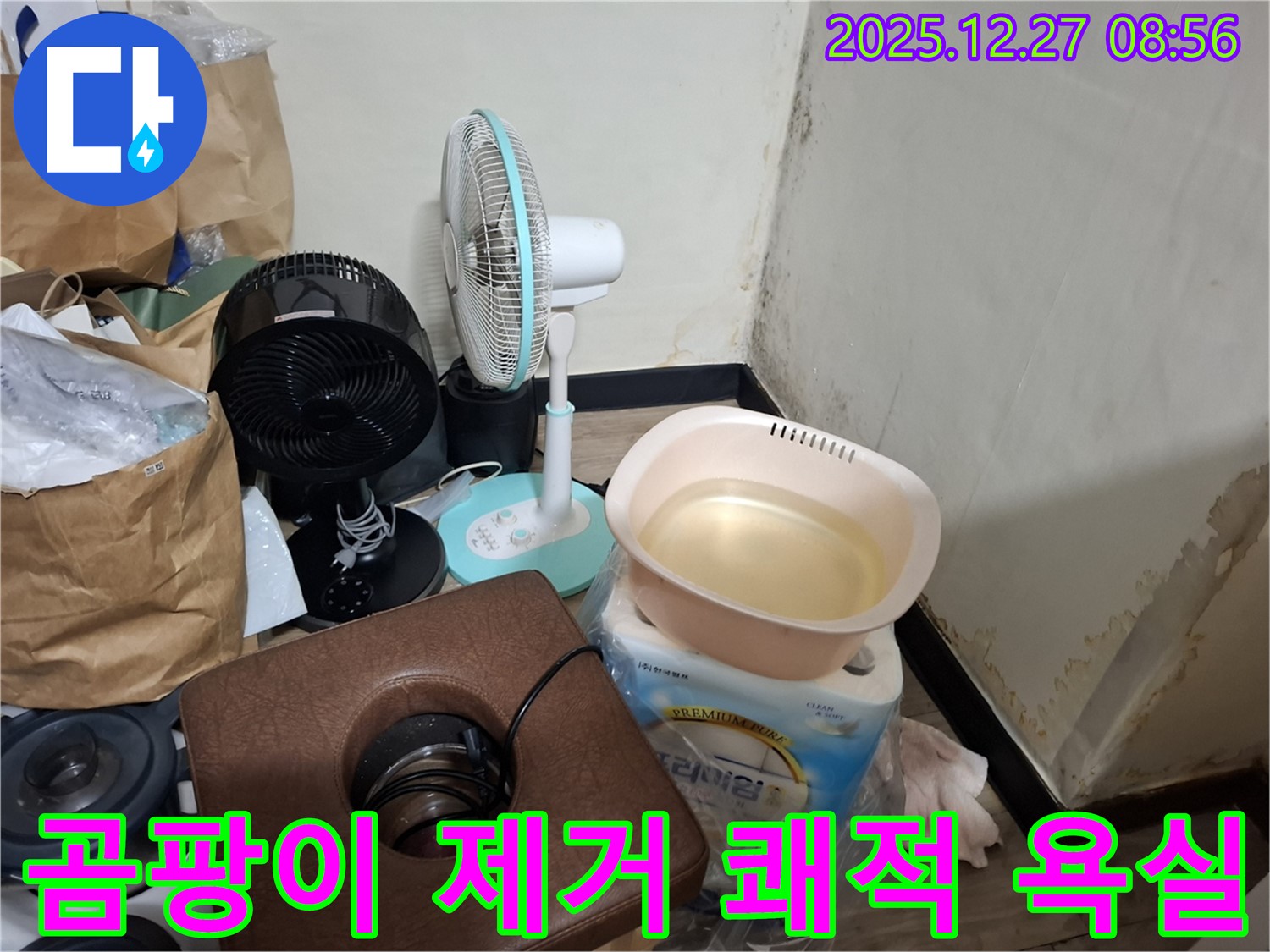 송파구 삼전동 누수 현장 - 곰팡이 제거 후 쾌적한 욕실로 변신! - 상쾌한 샤워 시간.