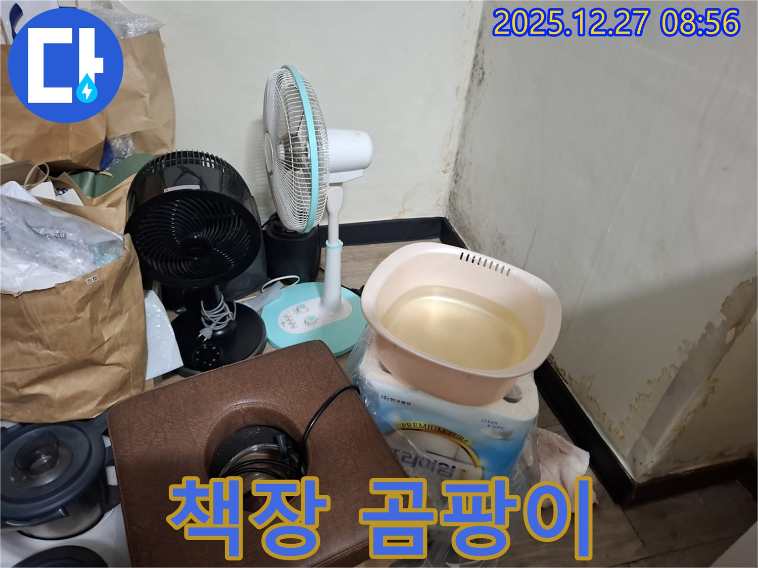 송파구 삼전동 누수 현장 - 책장 곰팡이 - 책에서 퀴퀴한 냄새 - 책장 습도 관리 중요.