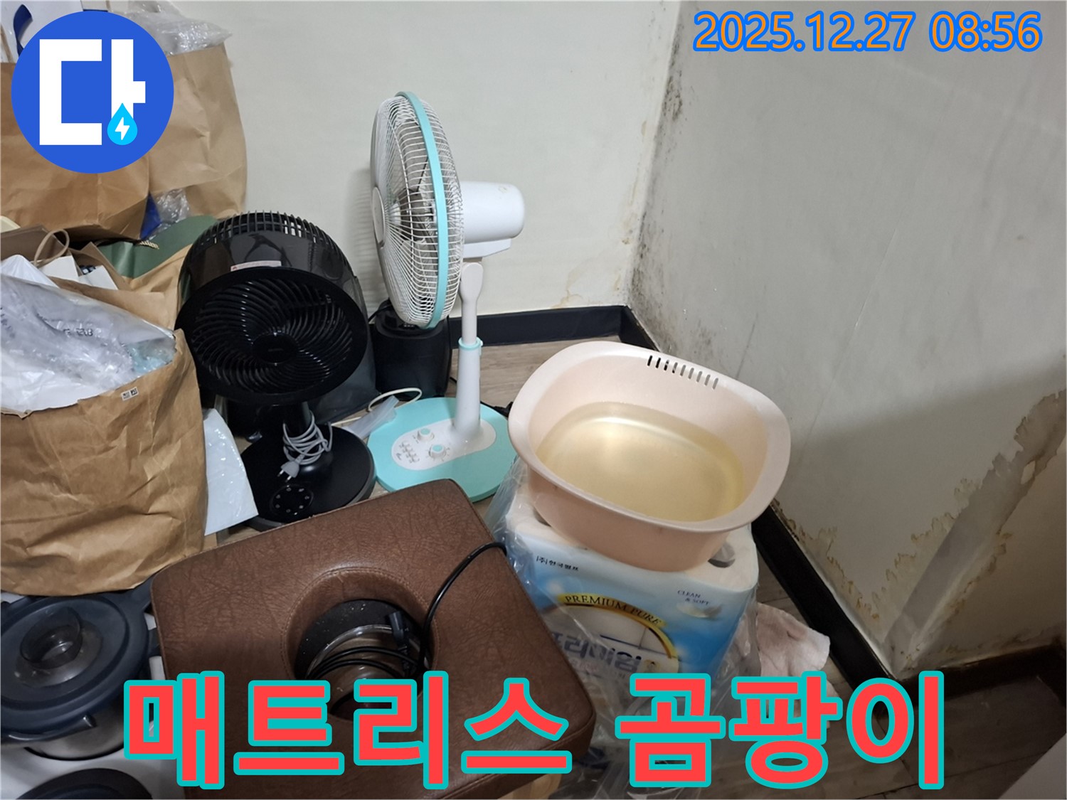 송파구 삼전동 누수 현장 - 침대 매트리스 곰팡이 - 찝찝한 잠자리 - 매트리스 관리 중요.
