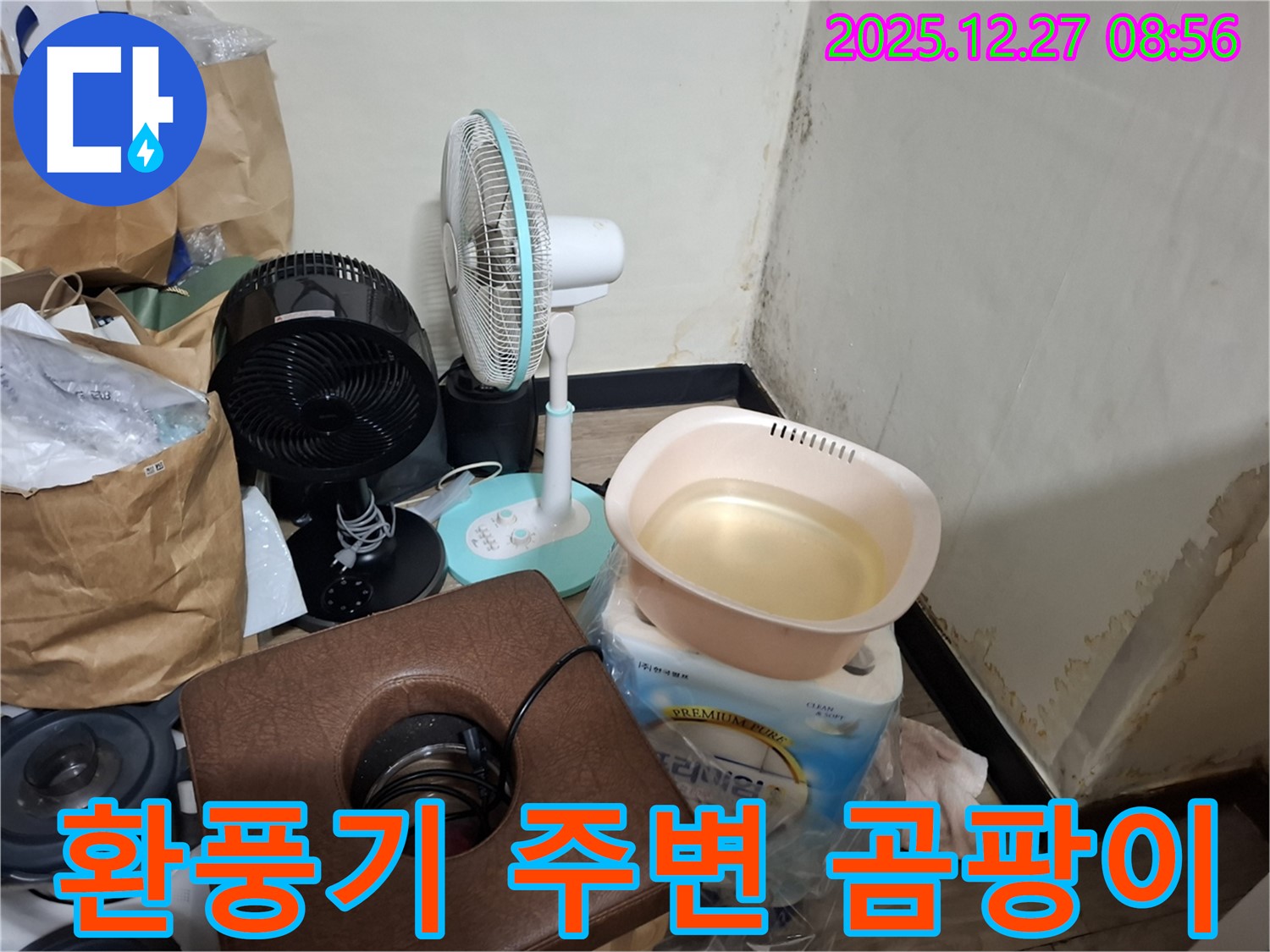 송파구 삼전동 누수 현장 - 환풍기 주변 곰팡이 - 냄새가 심한 곰팡이 - 환풍기 점검 필수.
