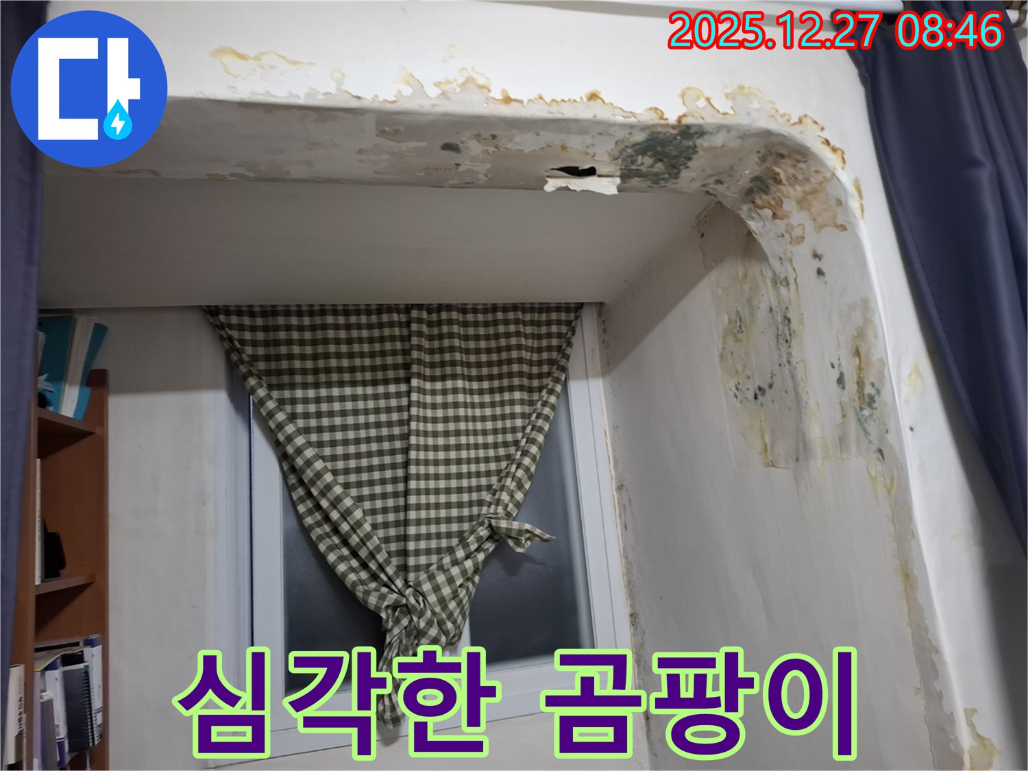 송파구 석촌동 - 심각한 곰팡이와 벽면 손상 - 누수 의심