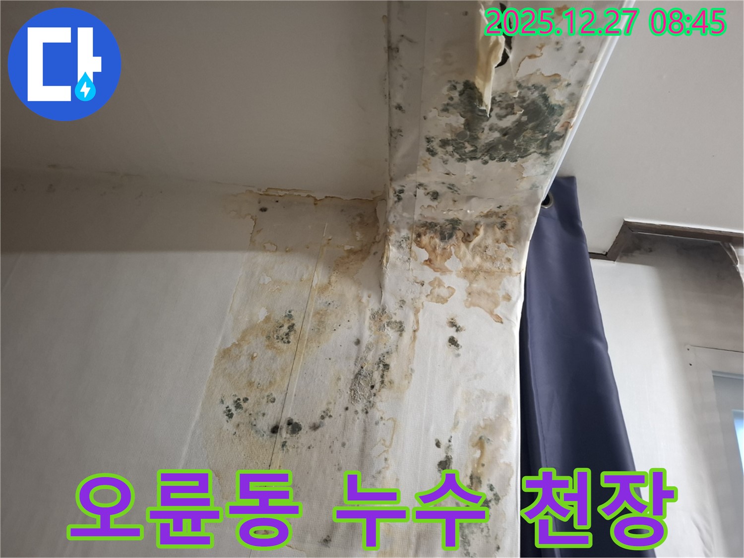 오륜동 누수 현장 - 천장 곰팡이 긴급 제거, 누수탐지 전문가의 신속한 해결