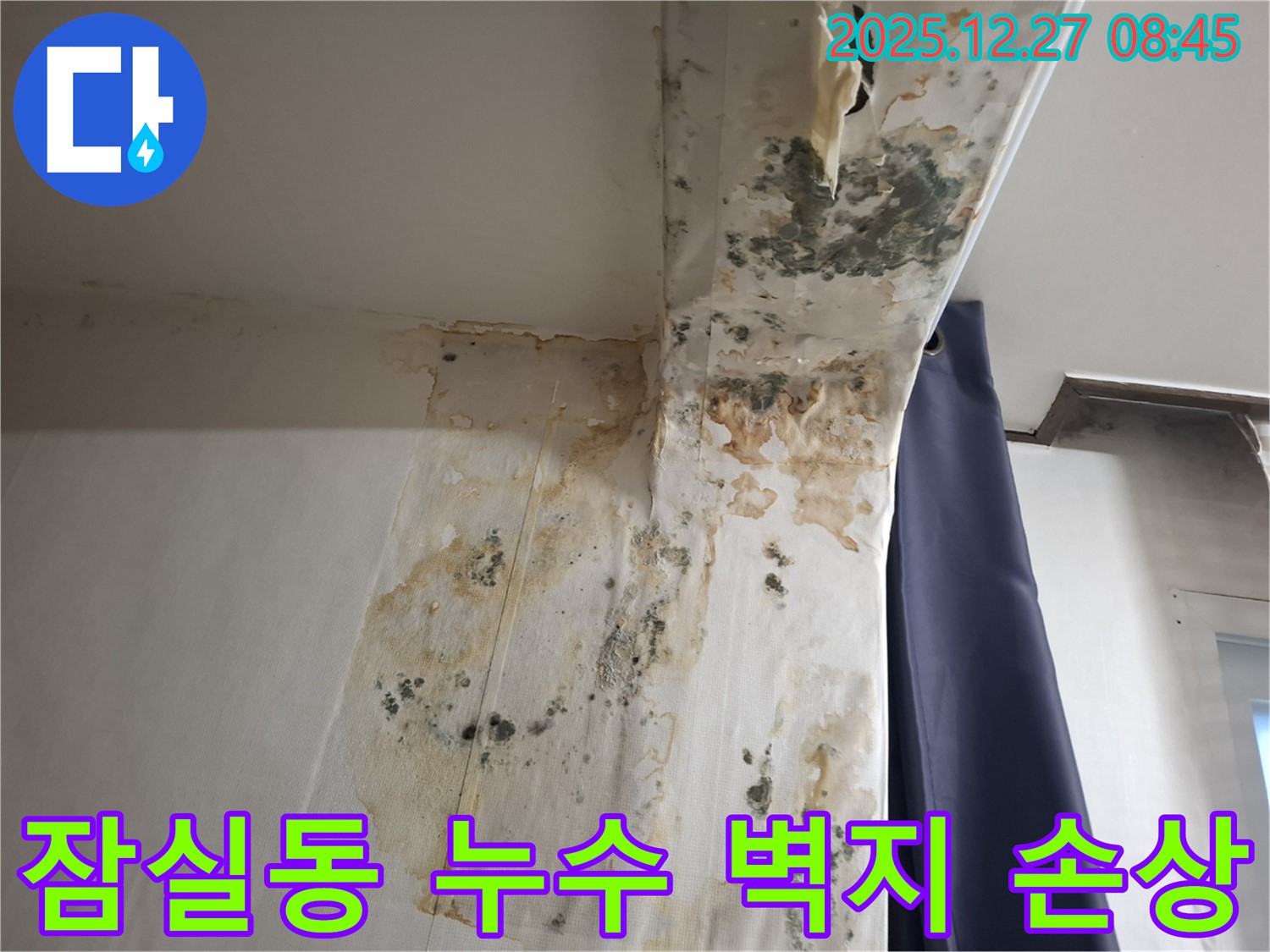 잠실동 누수 현장 - 습기와 곰팡이로 인한 벽지 손상, 누수탐지 전문가의 습기와의 전쟁