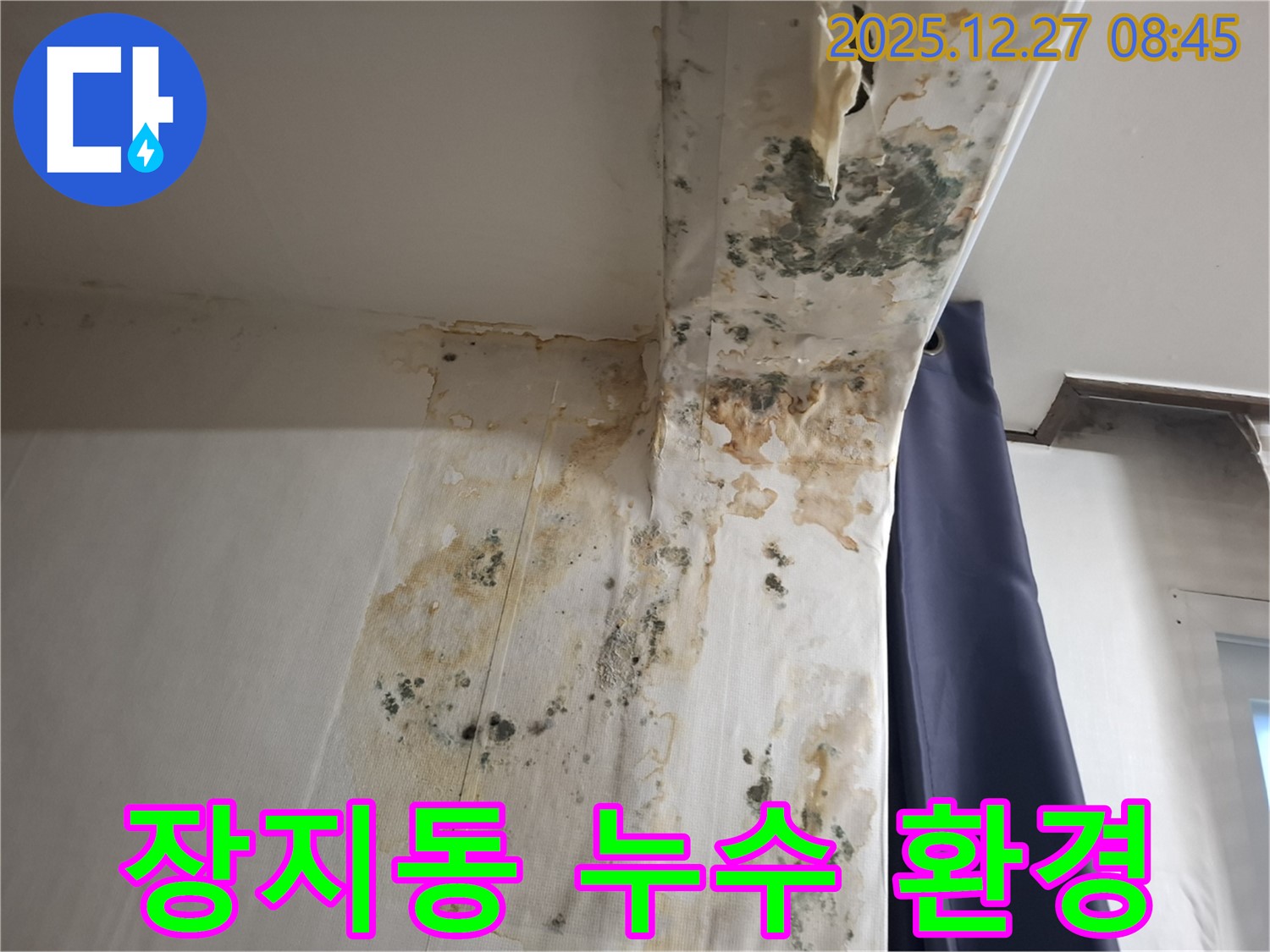 장지동 누수 현장 - 곰팡이 문제 해결 후 깨끗한 실내 환경 조성, 누수탐지 전문가의 쾌적한 공간 만들기