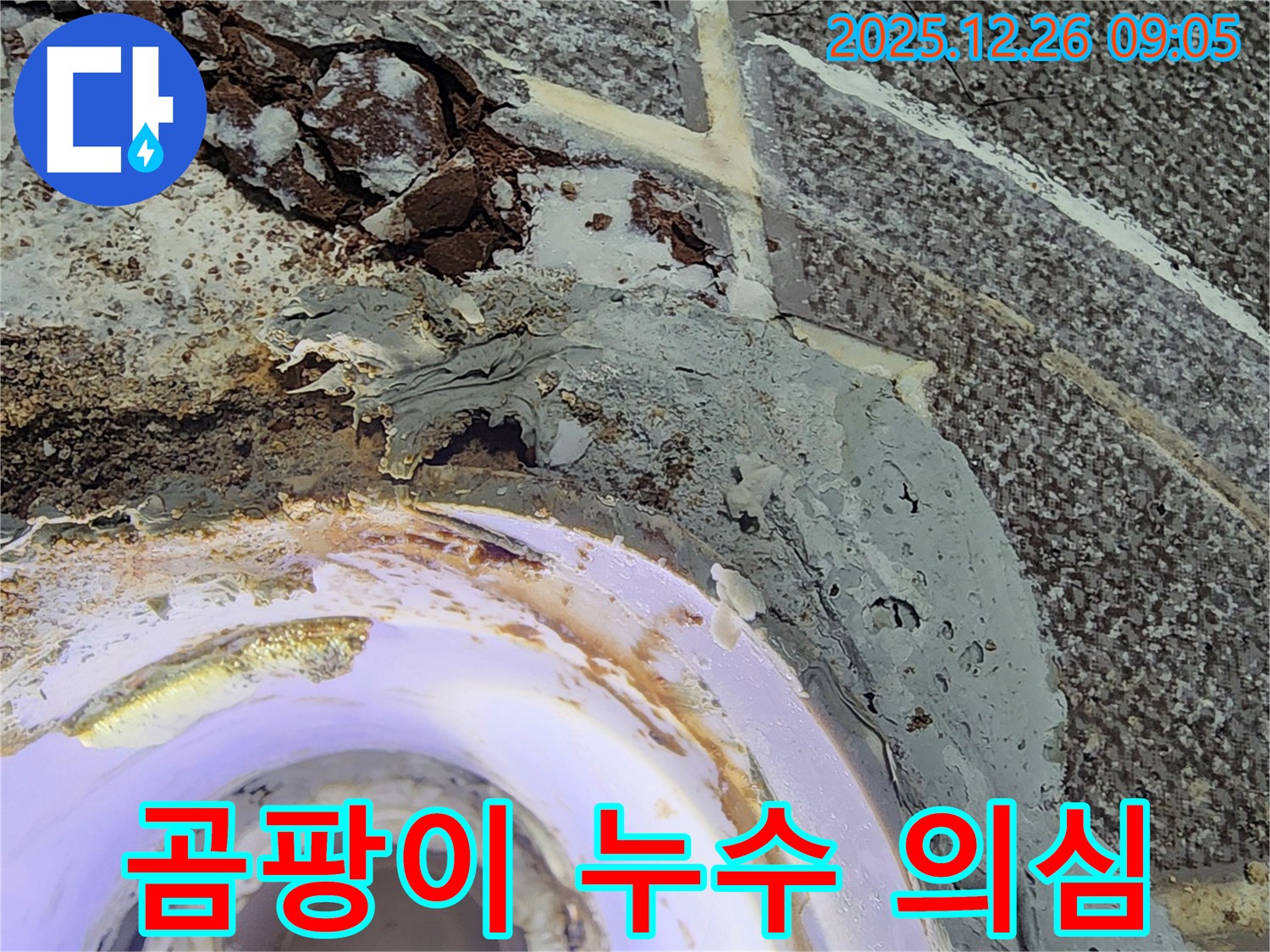 곰팡이 - 배수구 주변에 곰팡이가 핀 모습