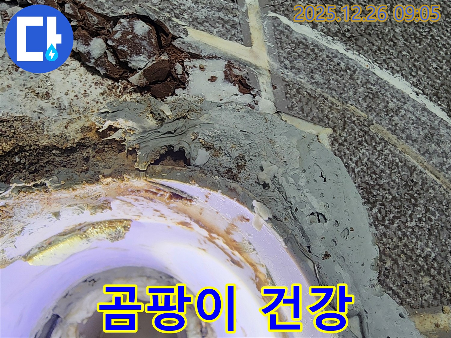 곰팡이 - 욕실 천장에 곰팡이가 핀 모습