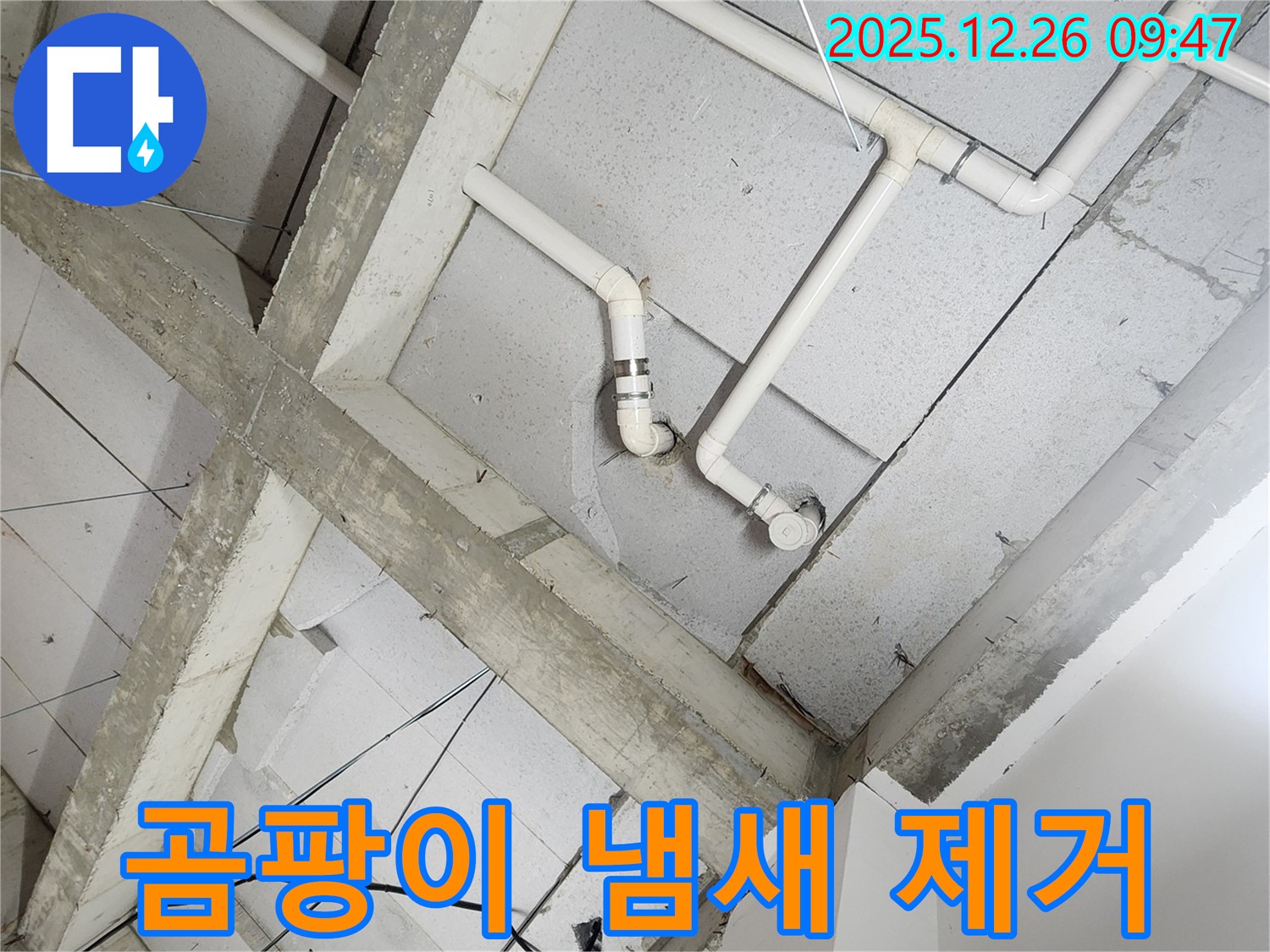 상계1동 누수 - 곰팡이 냄새, 곰팡이 제거 전문!