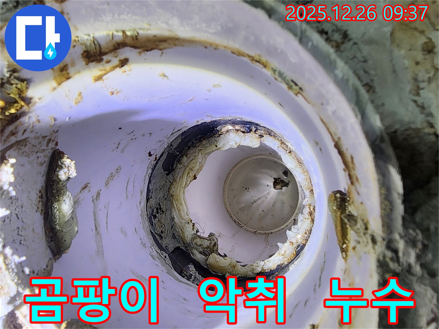 상계1동 배관 - 곰팡이, 악취, 누수 해결