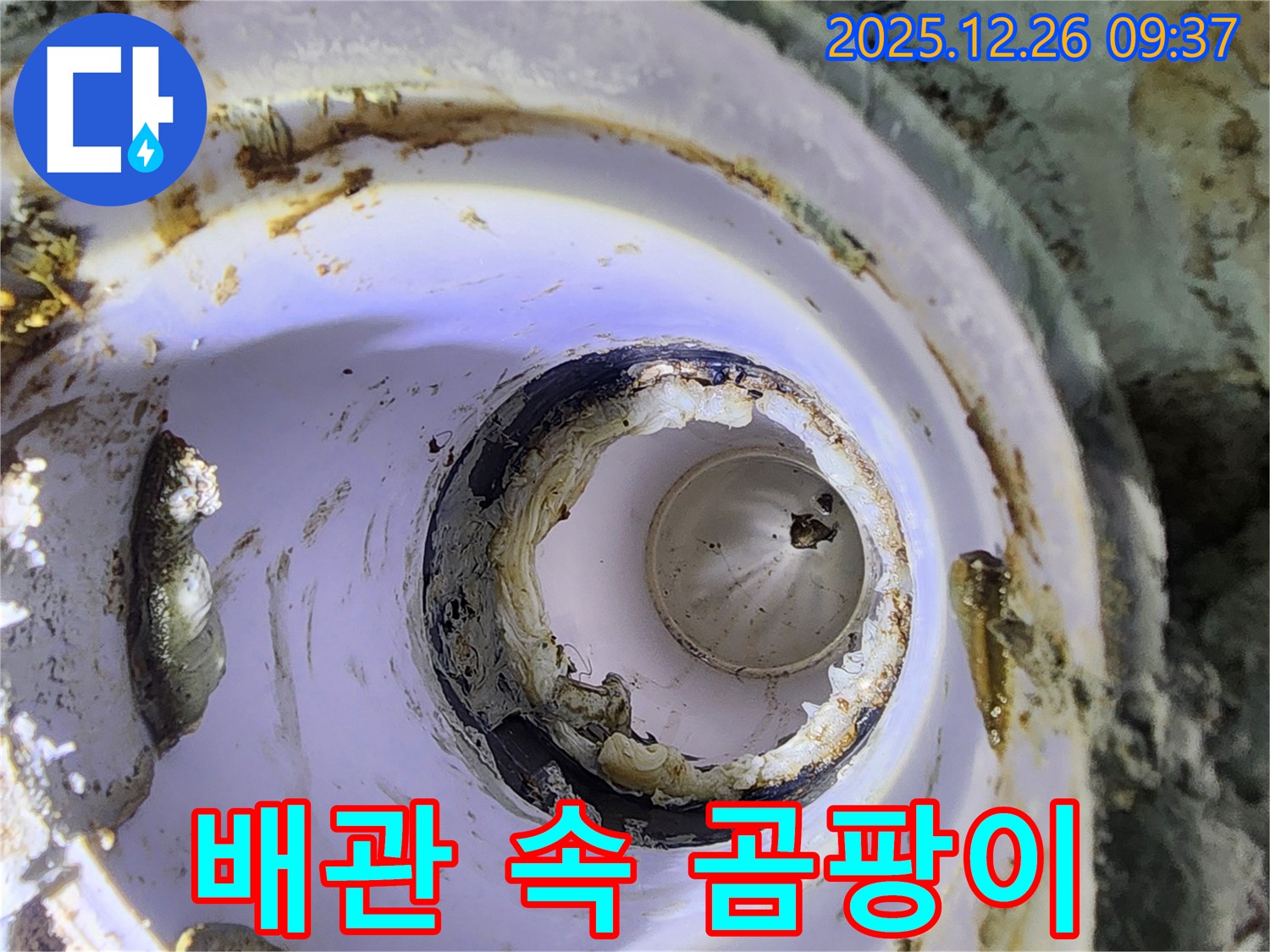 오래된 아파트 배관 - 곰팡이가 문제