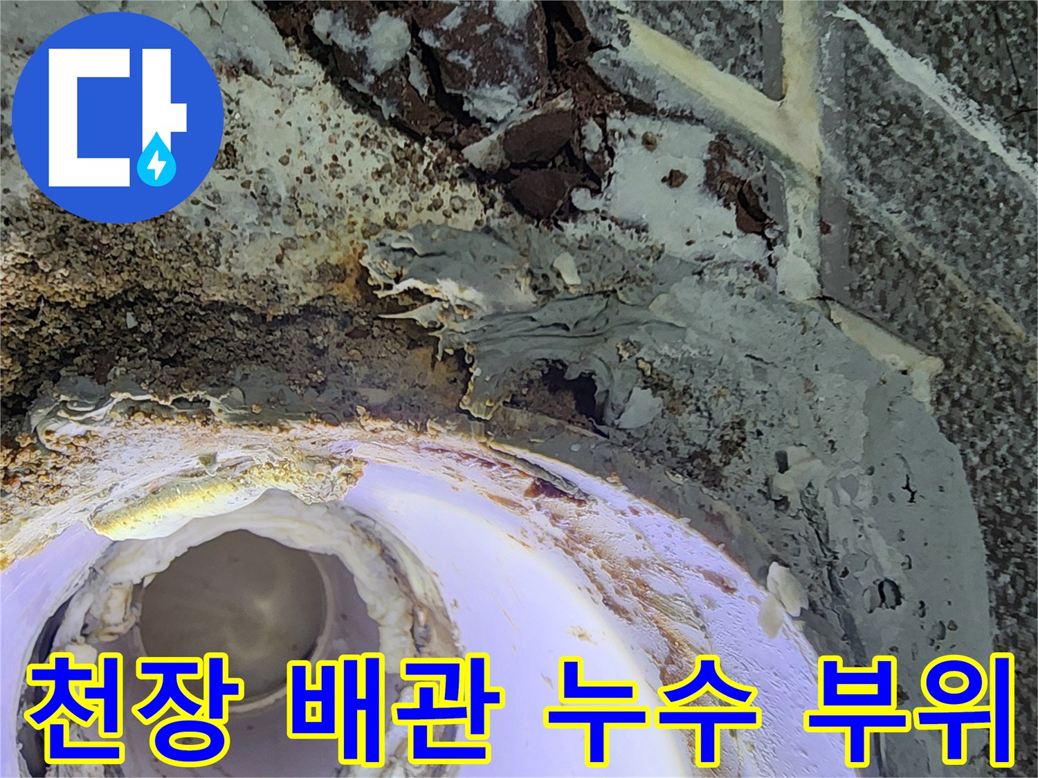 욕실 천장 내부의 젖은 배관 연결 부위 현황