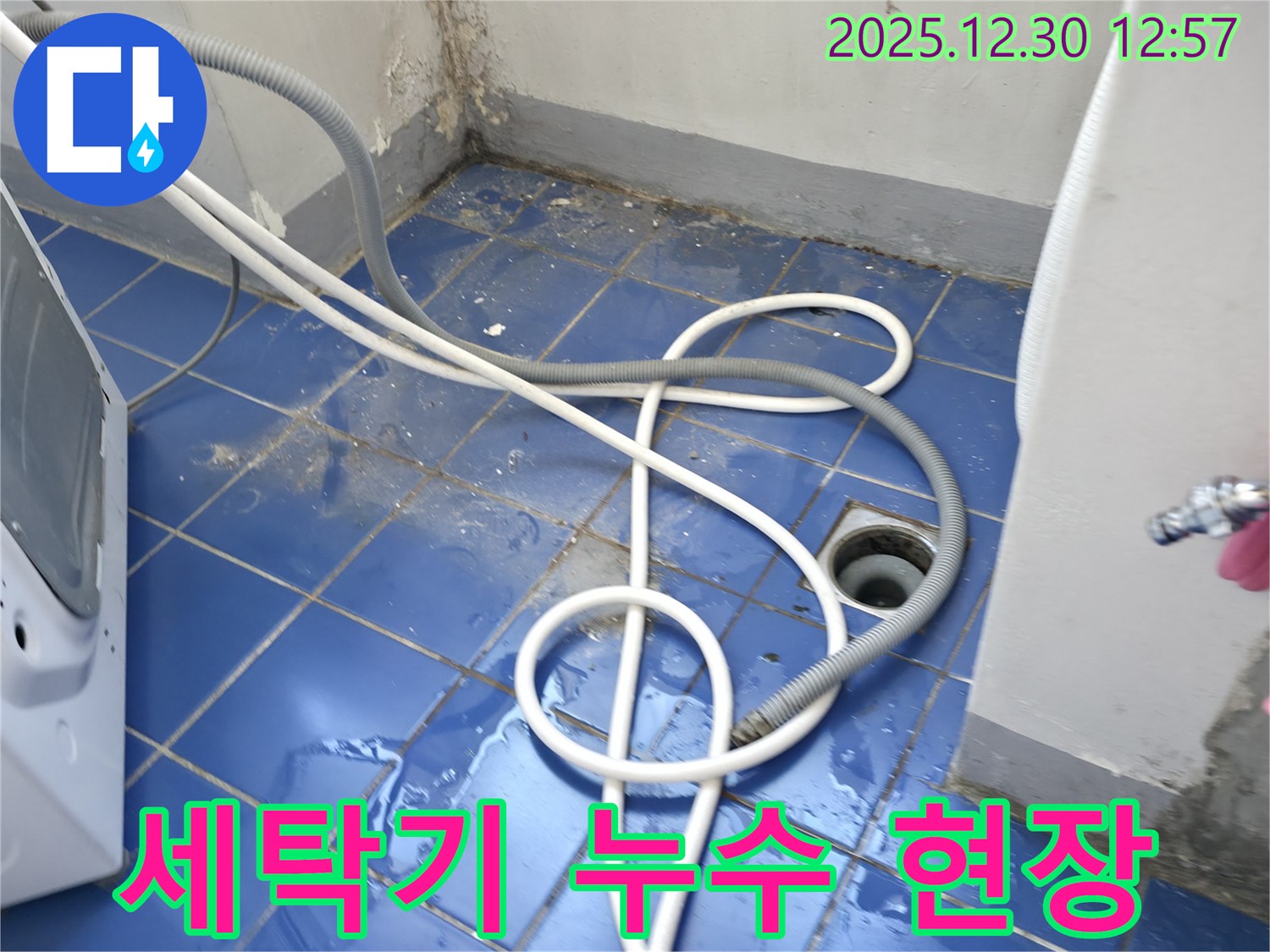 성동구 무학로 벽산아파트 세탁기 누수 현장 - 문제 해결 과정 상세 공개