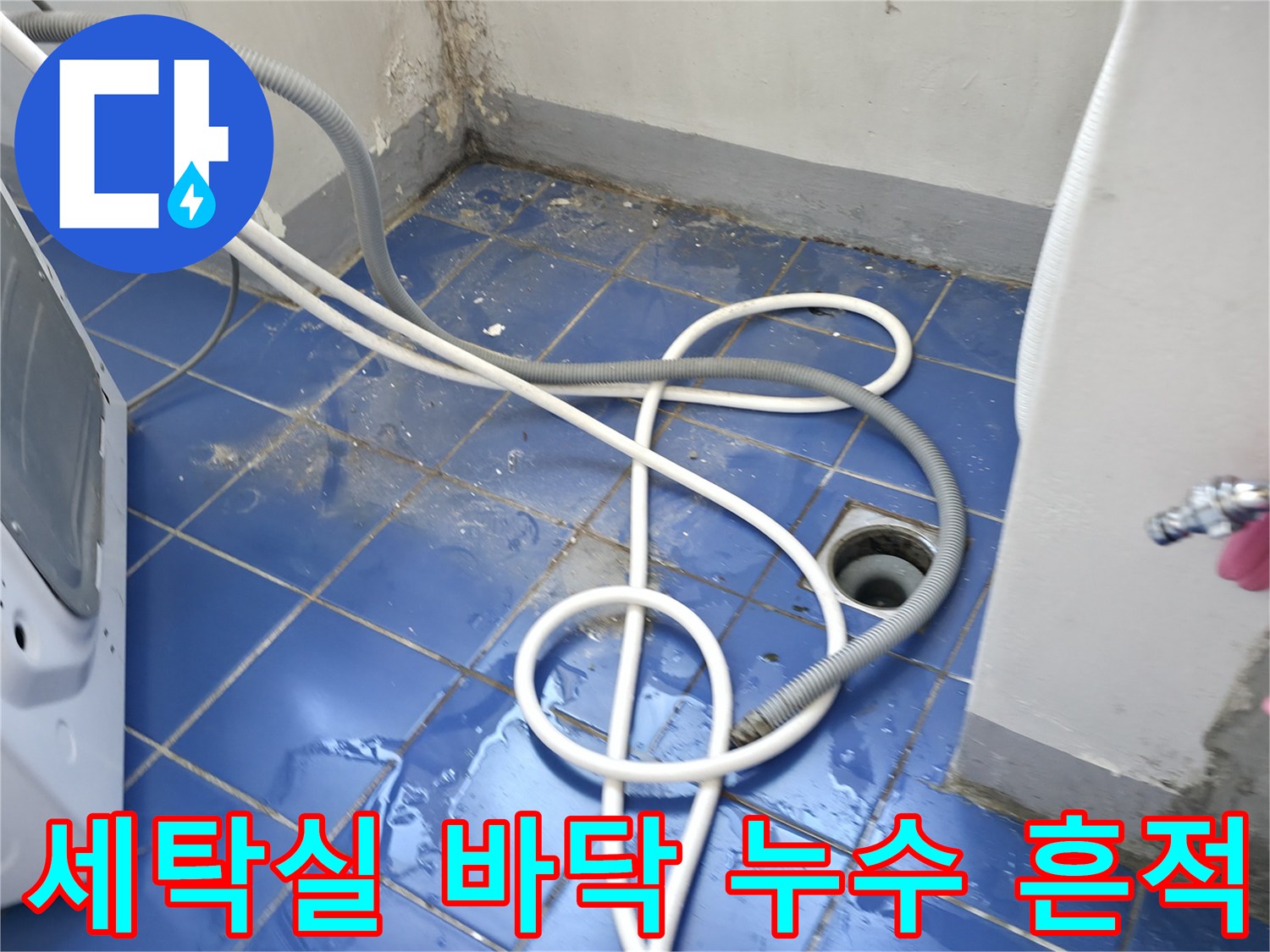 세탁실 배수구 유가 주변의 젖은 타일 상태 사진