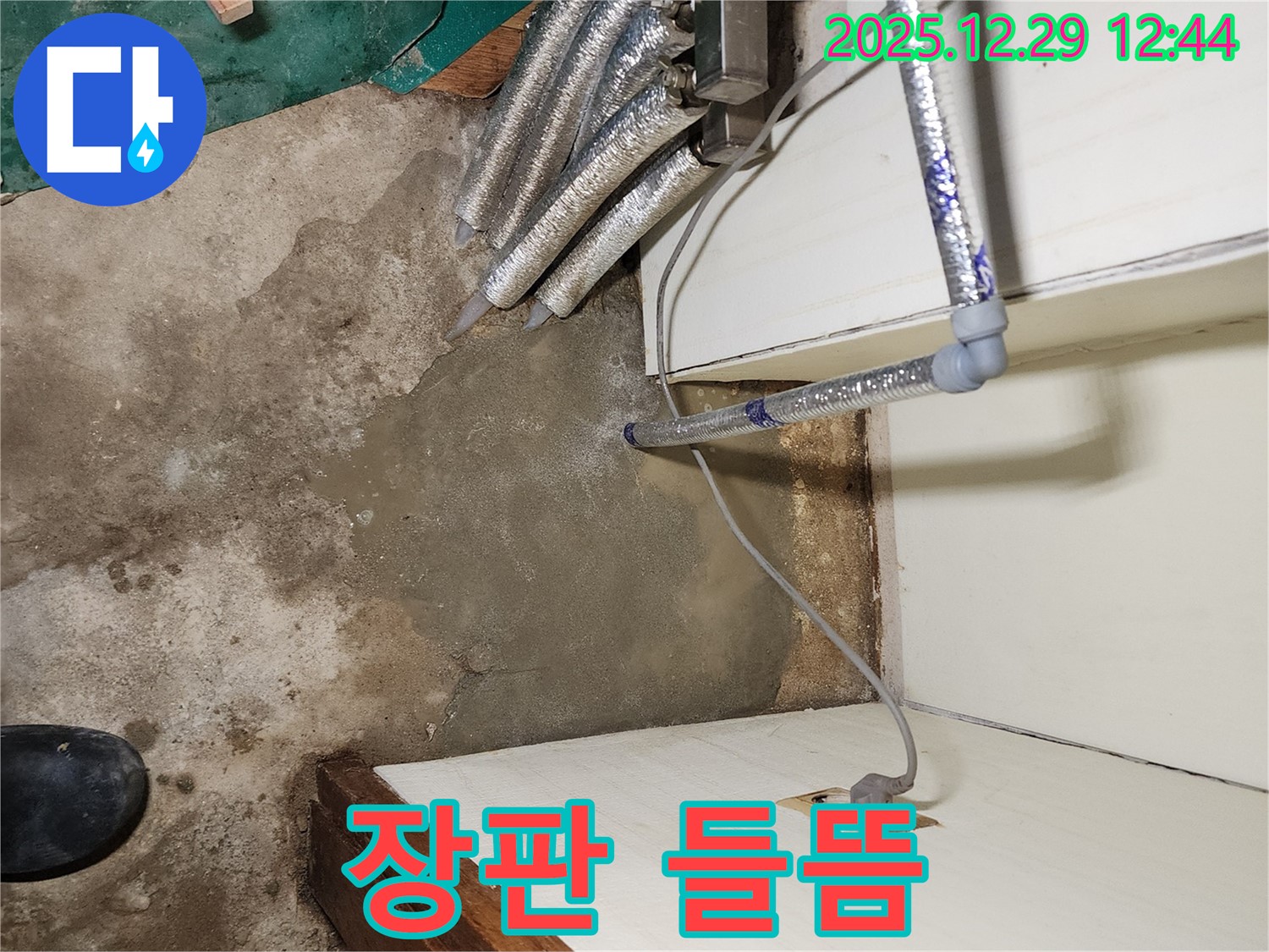 상계2동 누수 - 들떠있는 장판