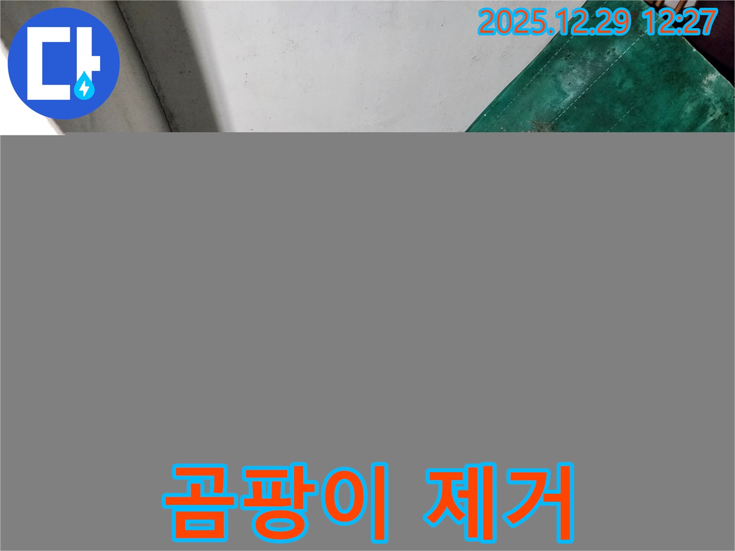 상계2동 누수 현장 - 지하실 곰팡이 긴급 제거 작업 - 쾌적한 환경 조성