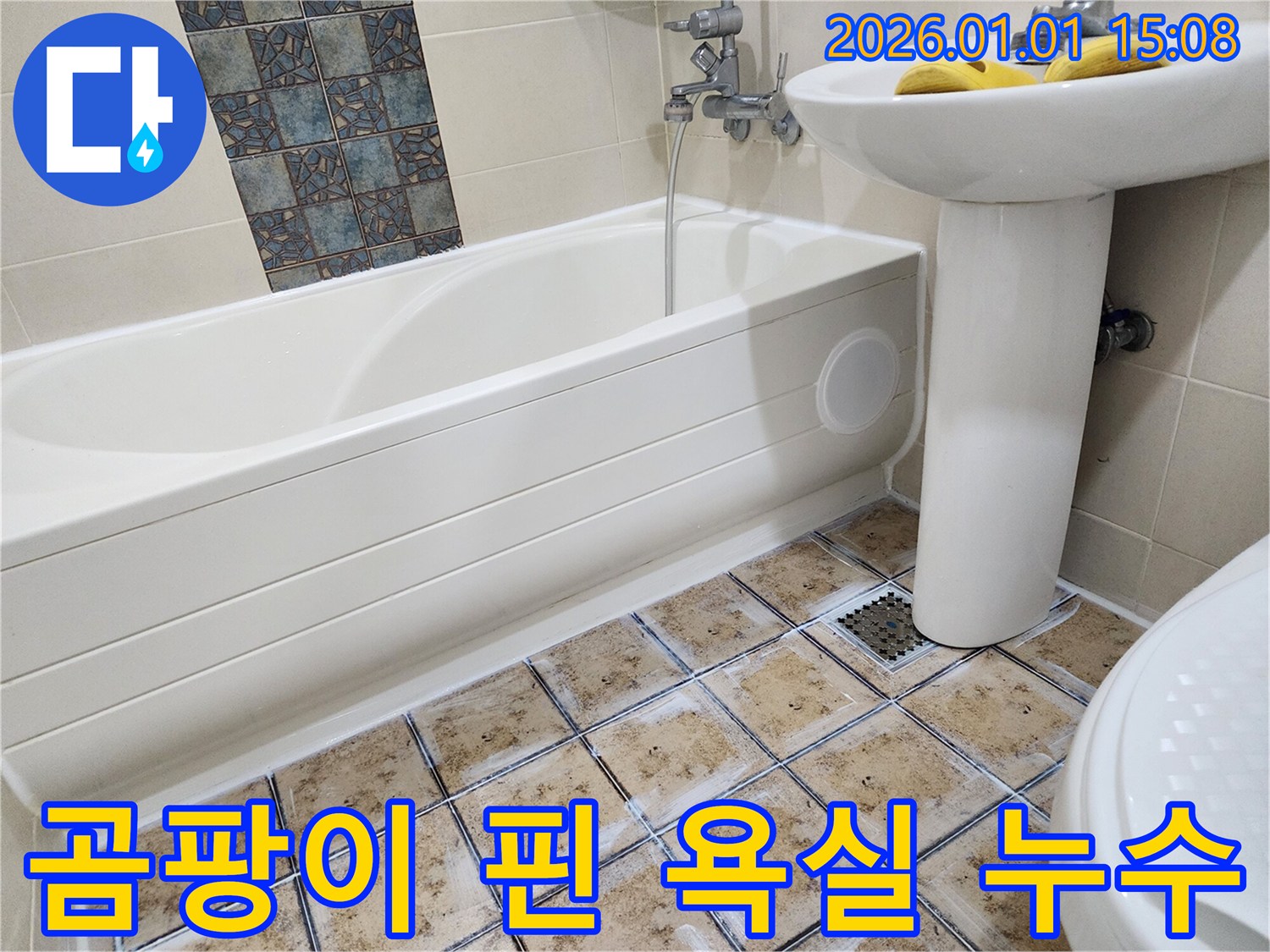 곰팡이 핀 욕실 - 누수 해결과 함께 곰팡이 제거