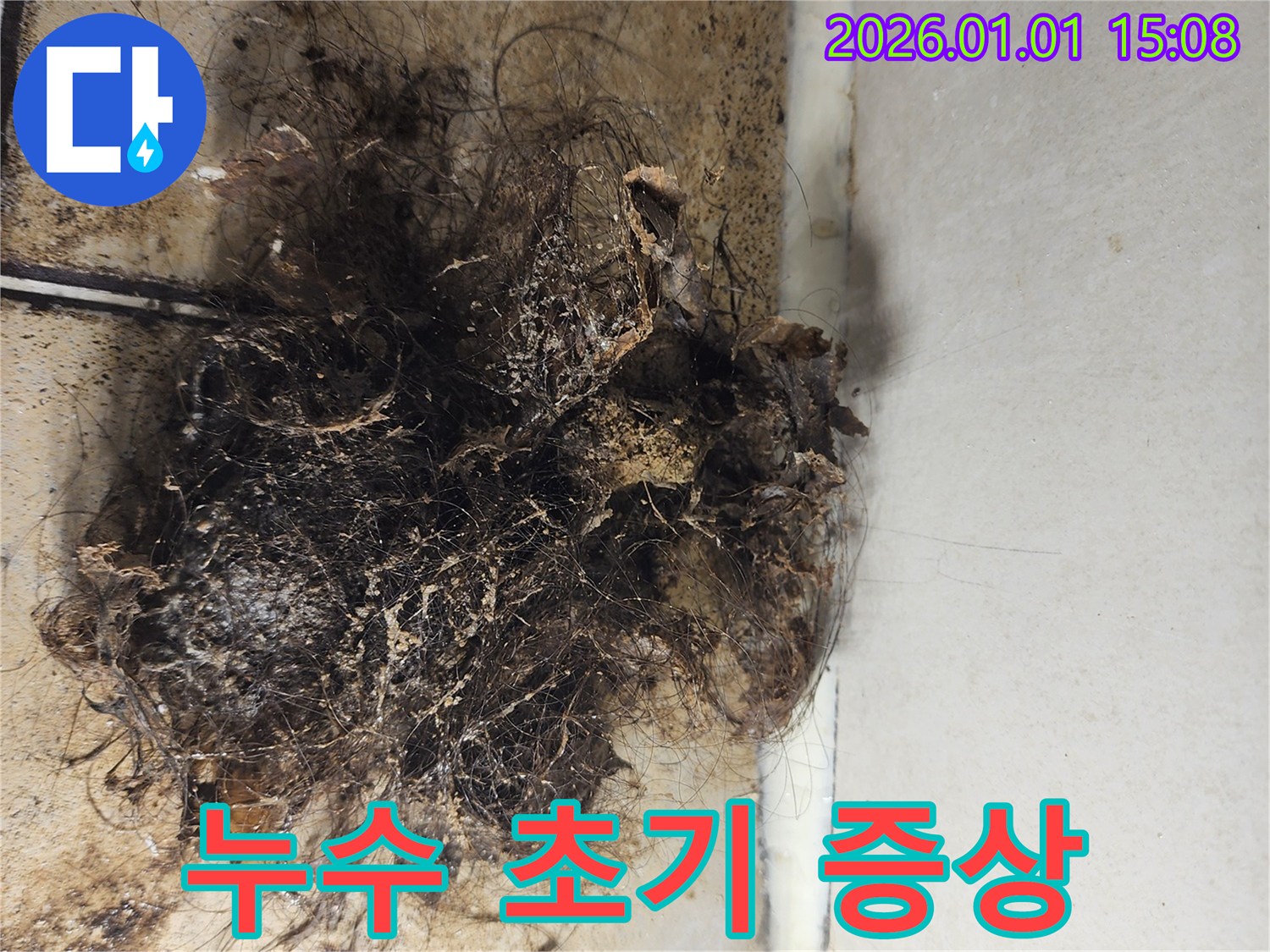 누수 초기 증상 - 배수구 주변의 습기와 곰팡이