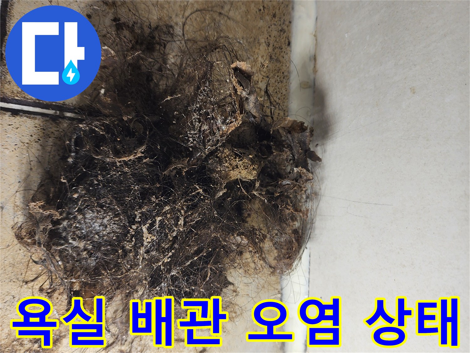 배수관-주변에-엉겨붙은-머리카락과-찌꺼기-상태