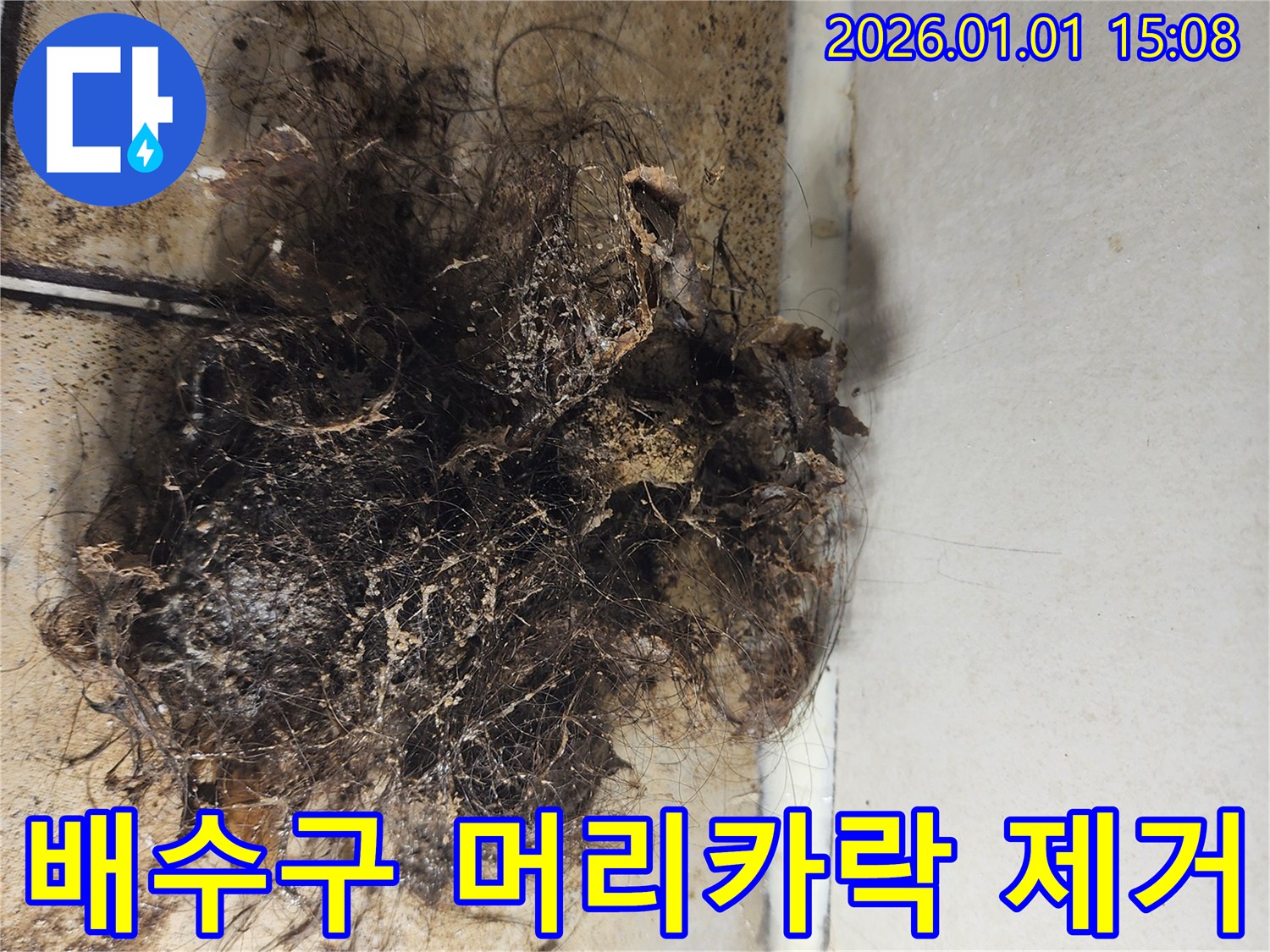 배수구 머리카락 제거 - 배수구에서 제거된 머리카락 뭉치 사진