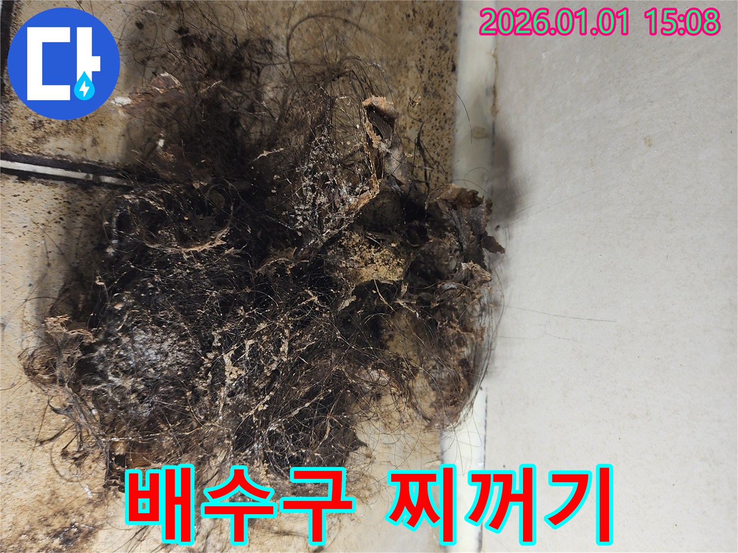 배수구 찌꺼기 - 배수구에서 나온 머리카락과 각종 찌꺼기
