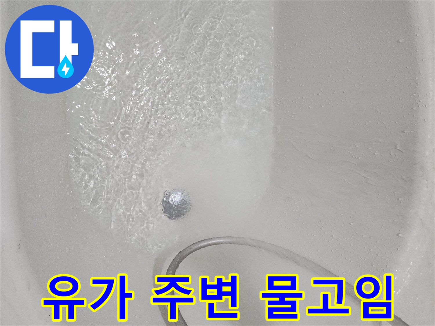 일산동구 화장실-배수구 유가 주변 누수 지점