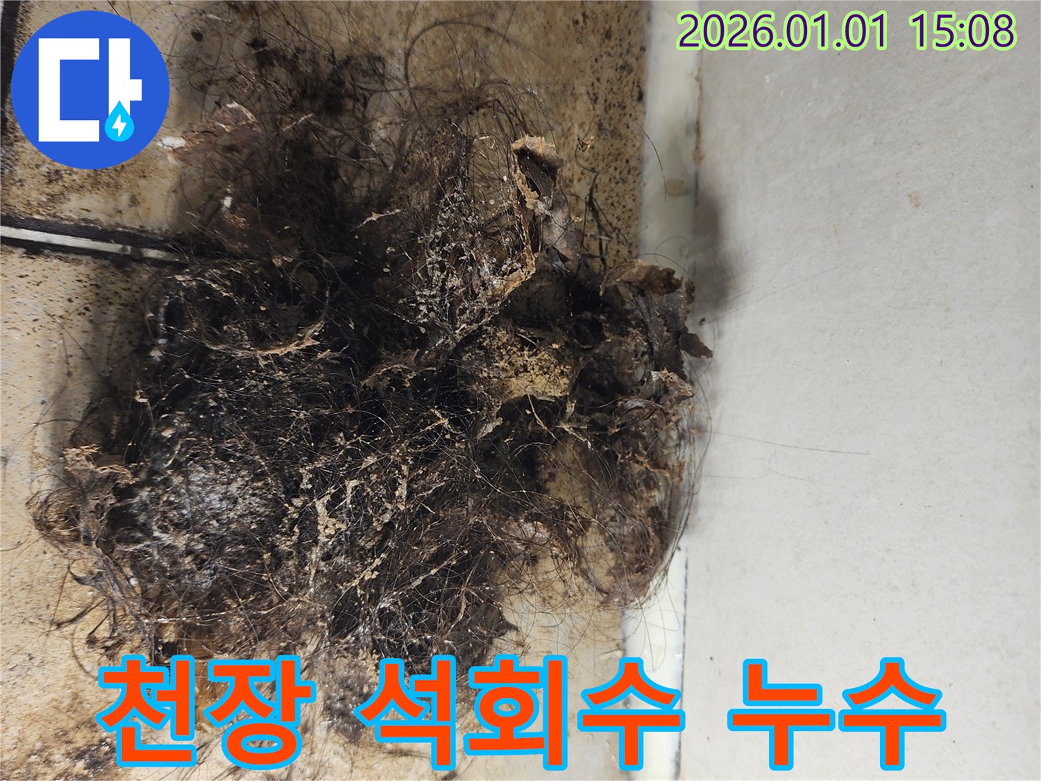 천장 석회수 누수 - 석회수가 떨어지는 천장 누수 현장 사진