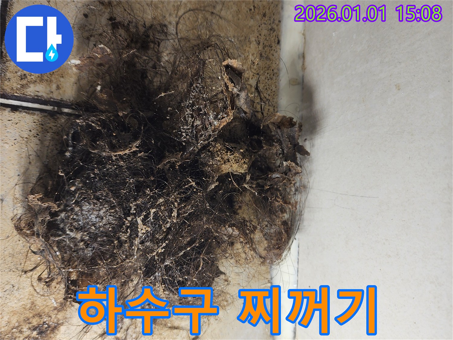 하수구 찌꺼기 - 하수구 내부에 쌓인 머리카락과 찌꺼기