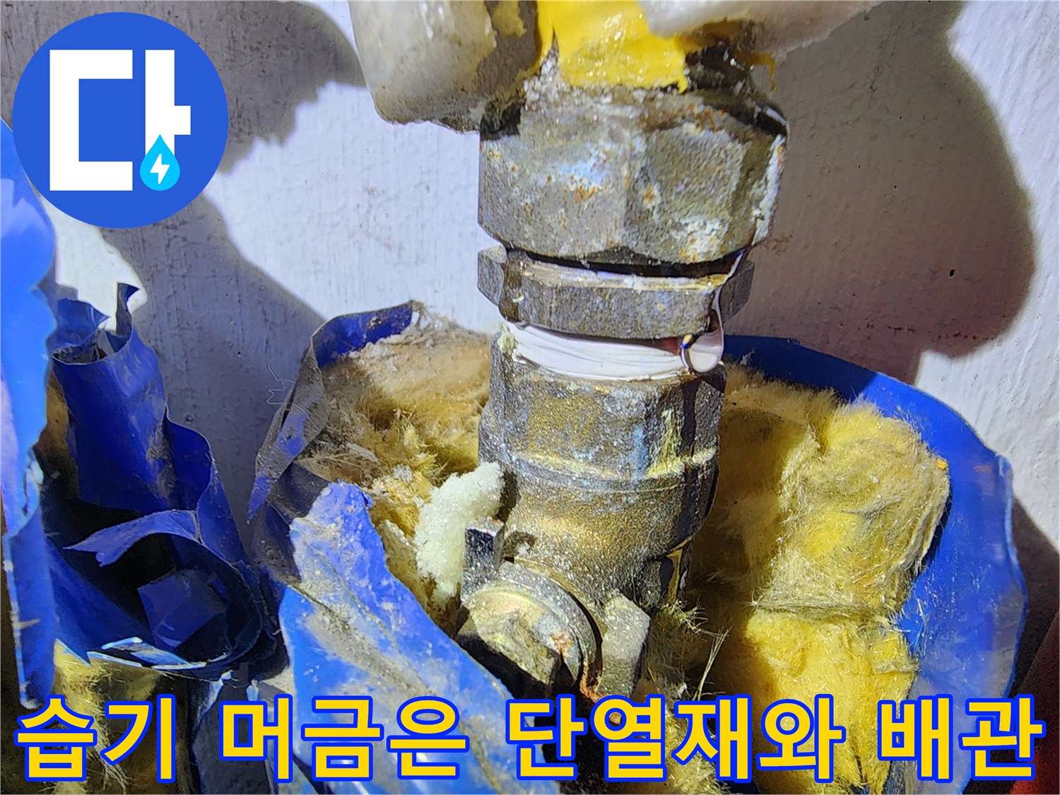물샘-현상으로-젖어있는-배관-주변-단열재