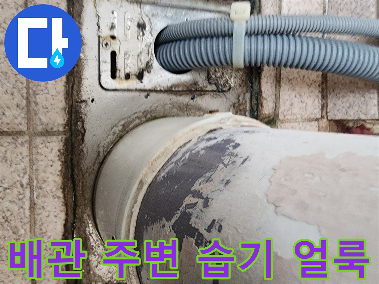 물기에-젖어-검게-변한-배관-주변-타일