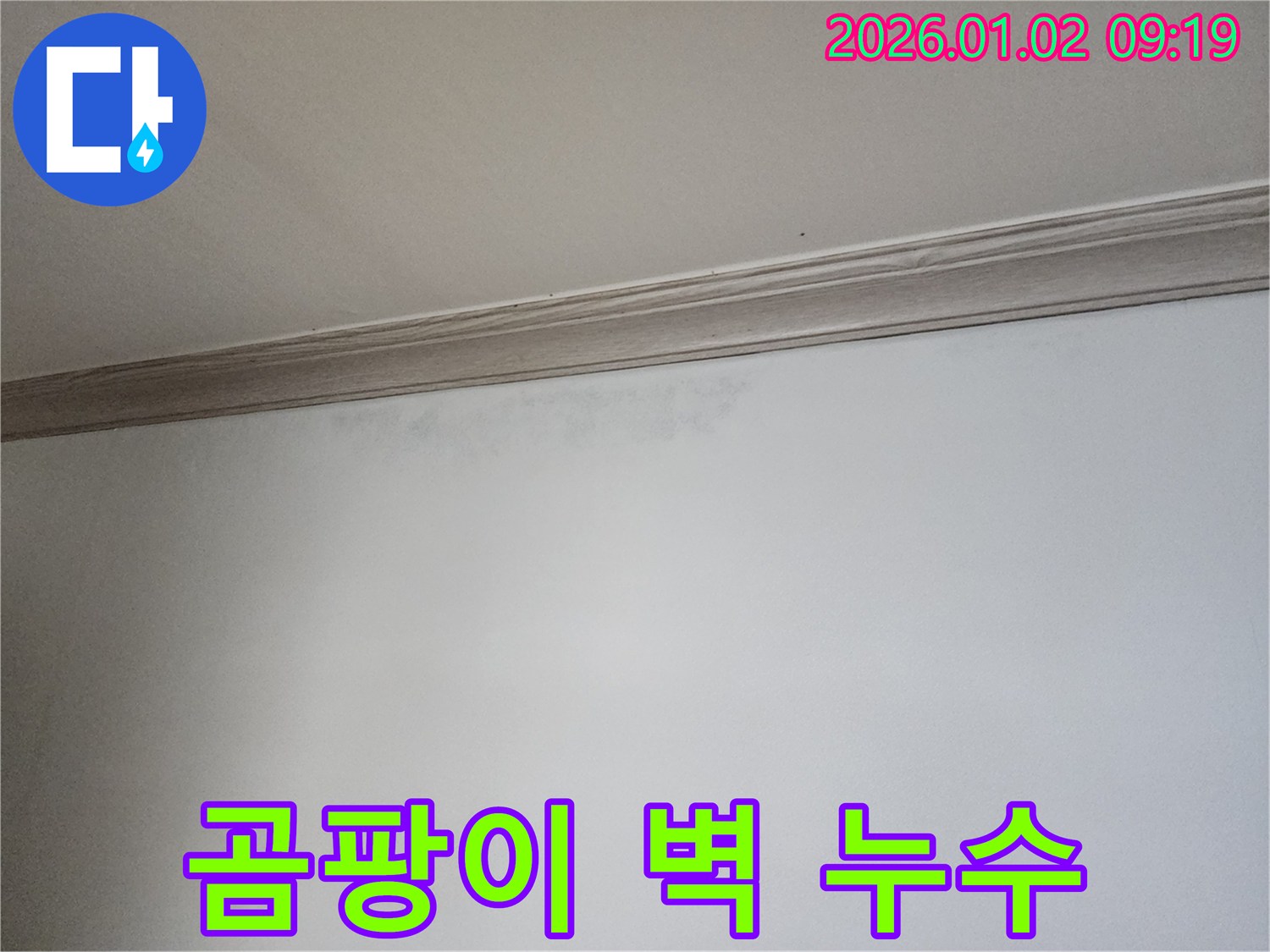 상계9동 곰팡이 핀 벽 - 누수와 곰팡이의 흔적