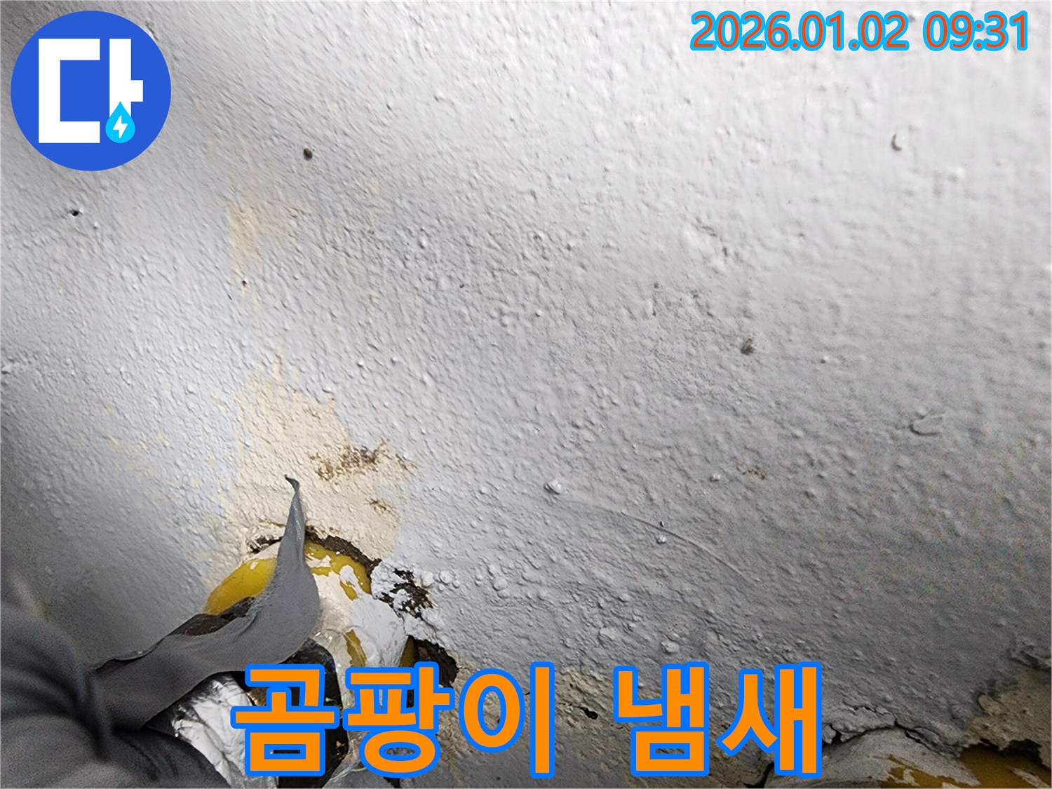 상계9동 누수 - 곰팡이 냄새 진동, 불쾌지수 UP!