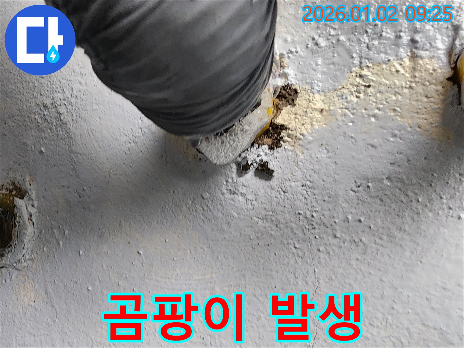 상계9동 누수, 누수 부위 주변 곰팡이 발생