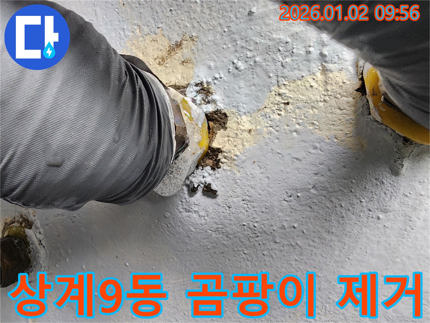 상계9동 누수 현장 - 곰팡이 냄새와 습기 제거가 우선입니다.