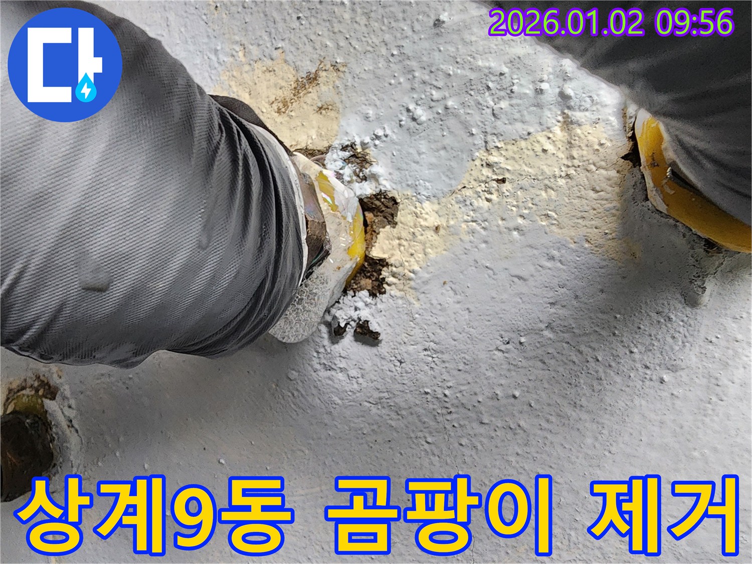 상계9동 누수 현장 - 곰팡이 냄새와 습기 제거가 우선입니다.