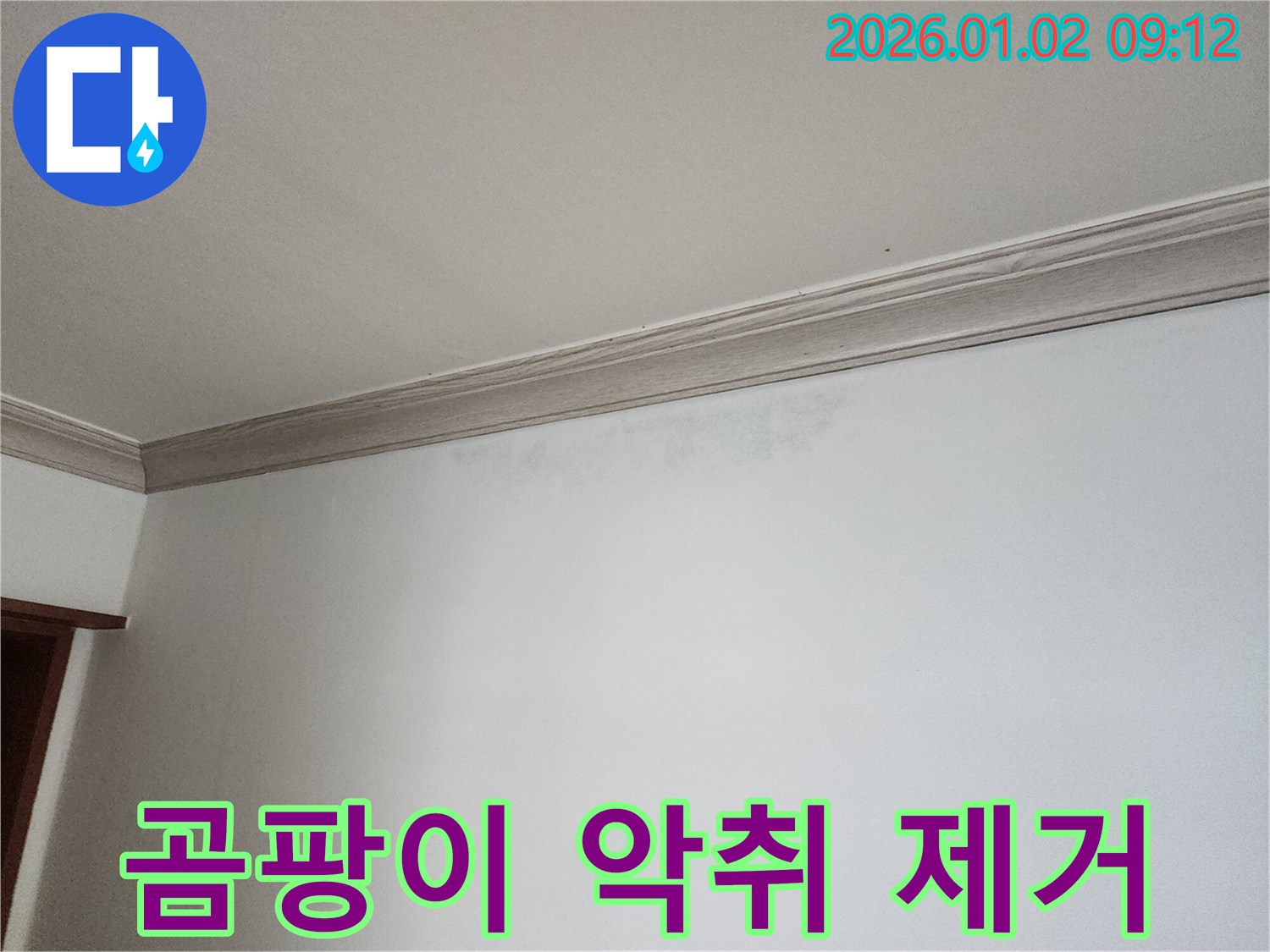 상계9동 벽 곰팡이 - 곰팡이 악취 제거 및 쾌적한 환경 조성
