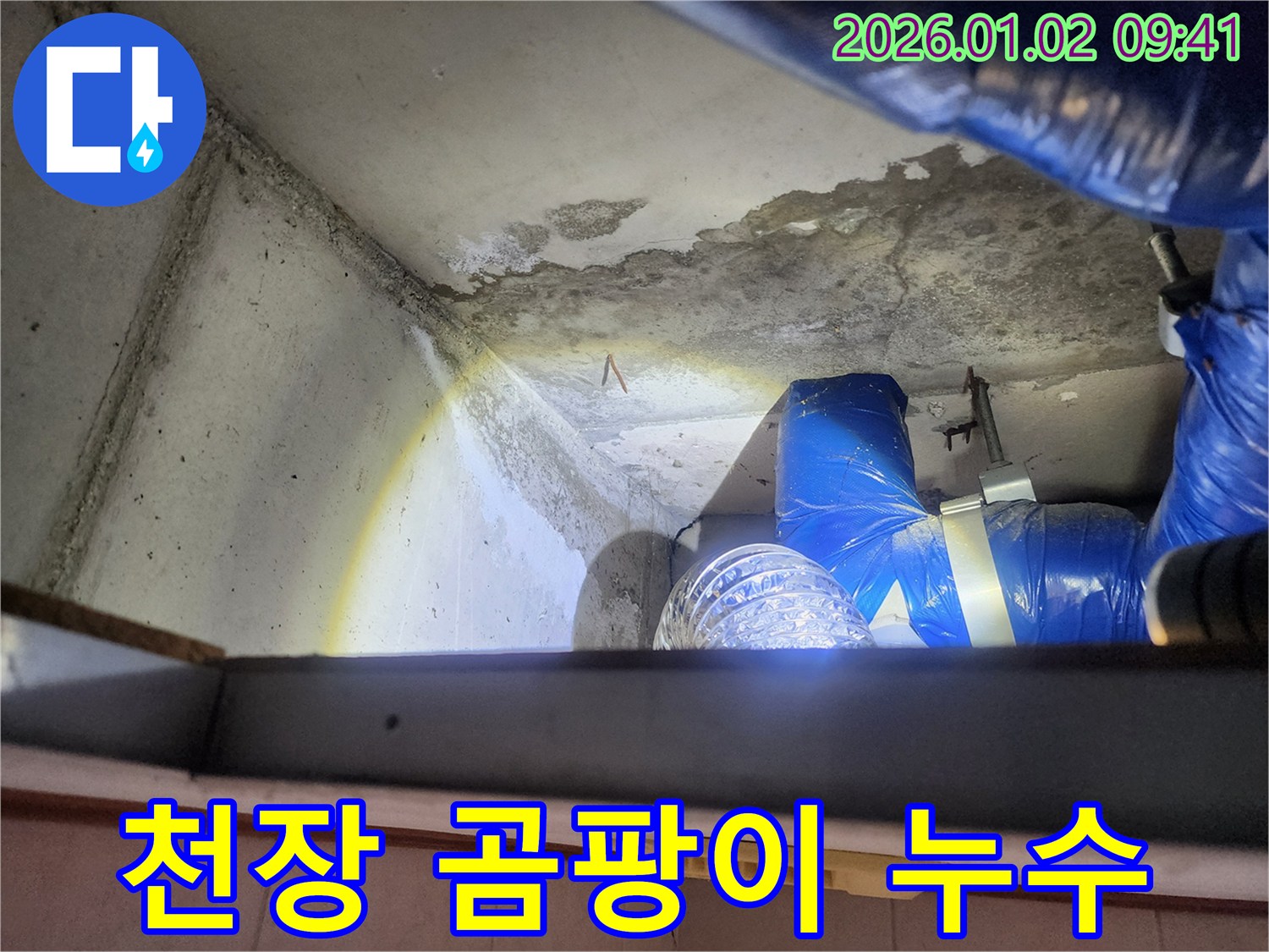 상계9동 빌라 누수 - 천장 곰팡이 발생