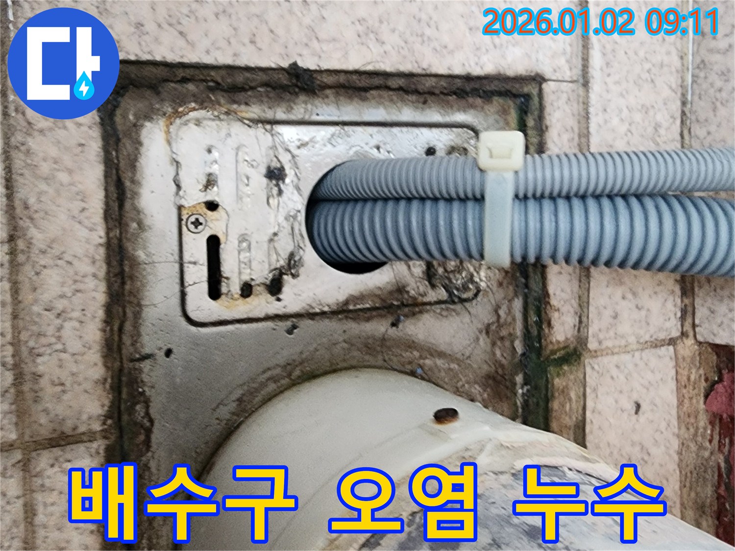 상계9동 세탁기 배수구 주변 오염 - 누수 전문가가 깨끗하게 청소하고 누수까지 해결했습니다.