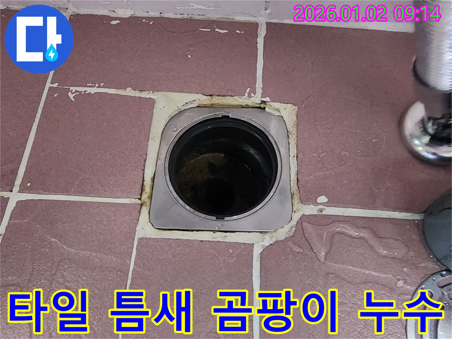 상계9동 욕실 배수구 - 타일 틈새 곰팡이, 누수 진행 중