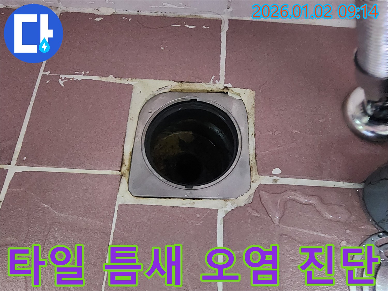 상계9동 욕실 배수구 - 타일 틈새 오염 상태를 자세히 진단 중