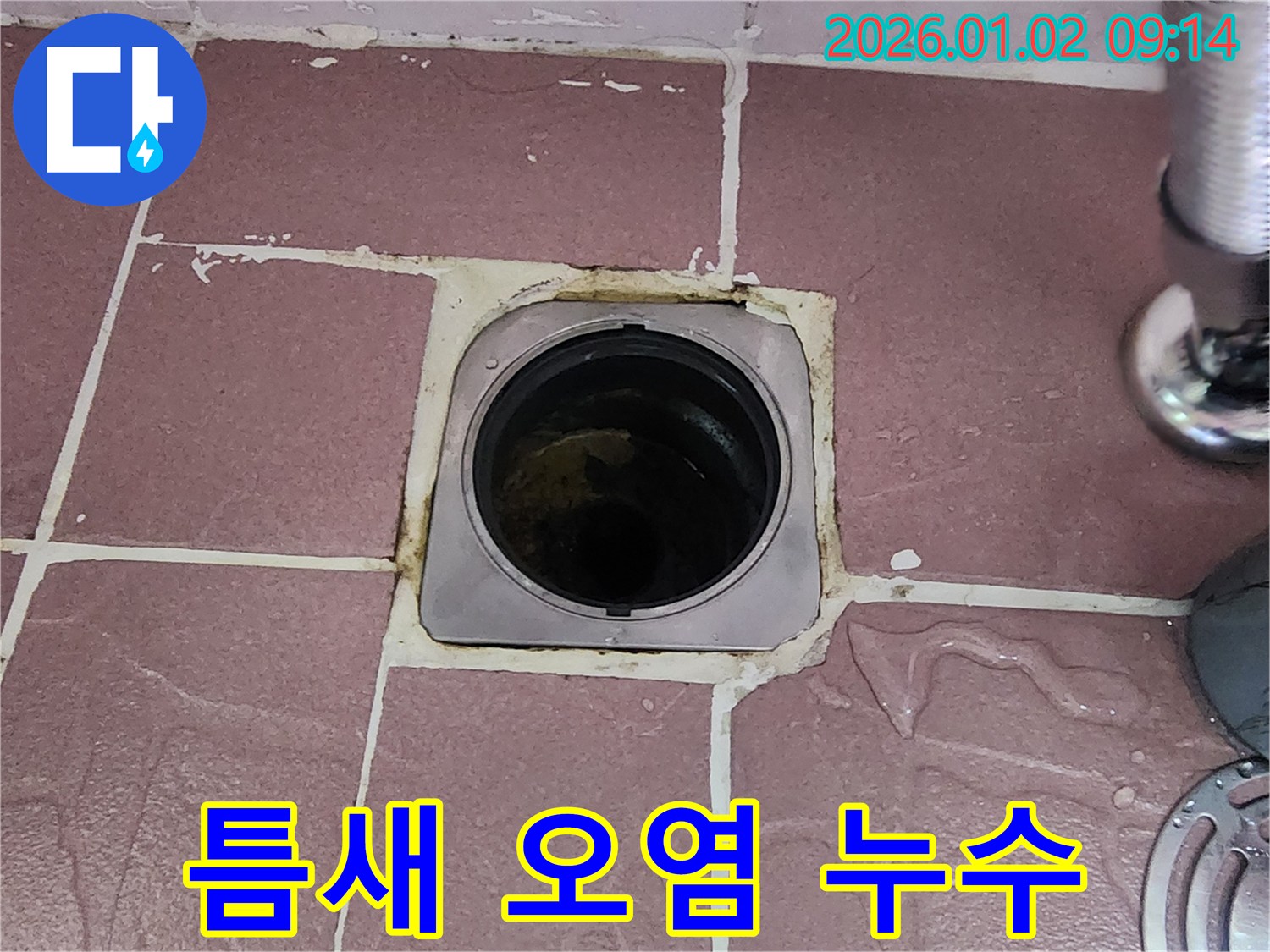 상계9동 욕실 배수구 - 틈새 오염으로 인한 누수