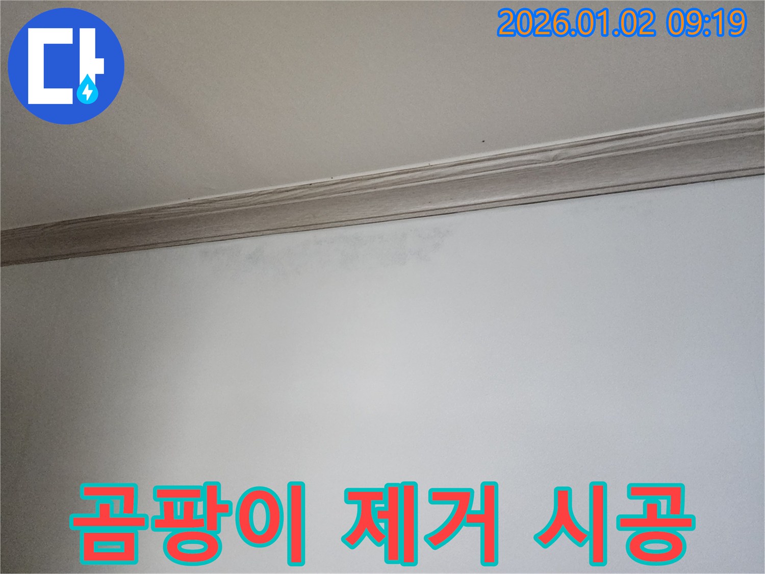상계동 곰팡이 제거 - 곰팡이 제거 및 재발 방지 시공