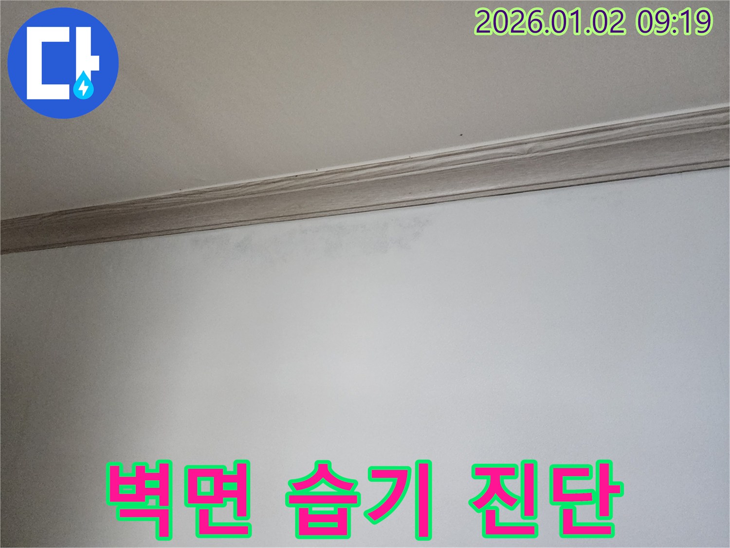 상계동 벽면 습기 - 곰팡이 발생 가능성 진단