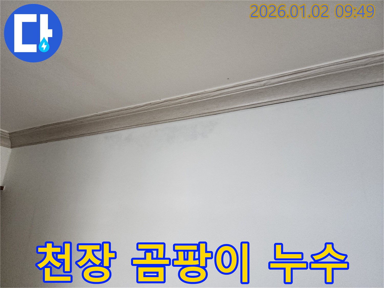 상계동 천장 곰팡이 - 누수 해결이 우선입니다