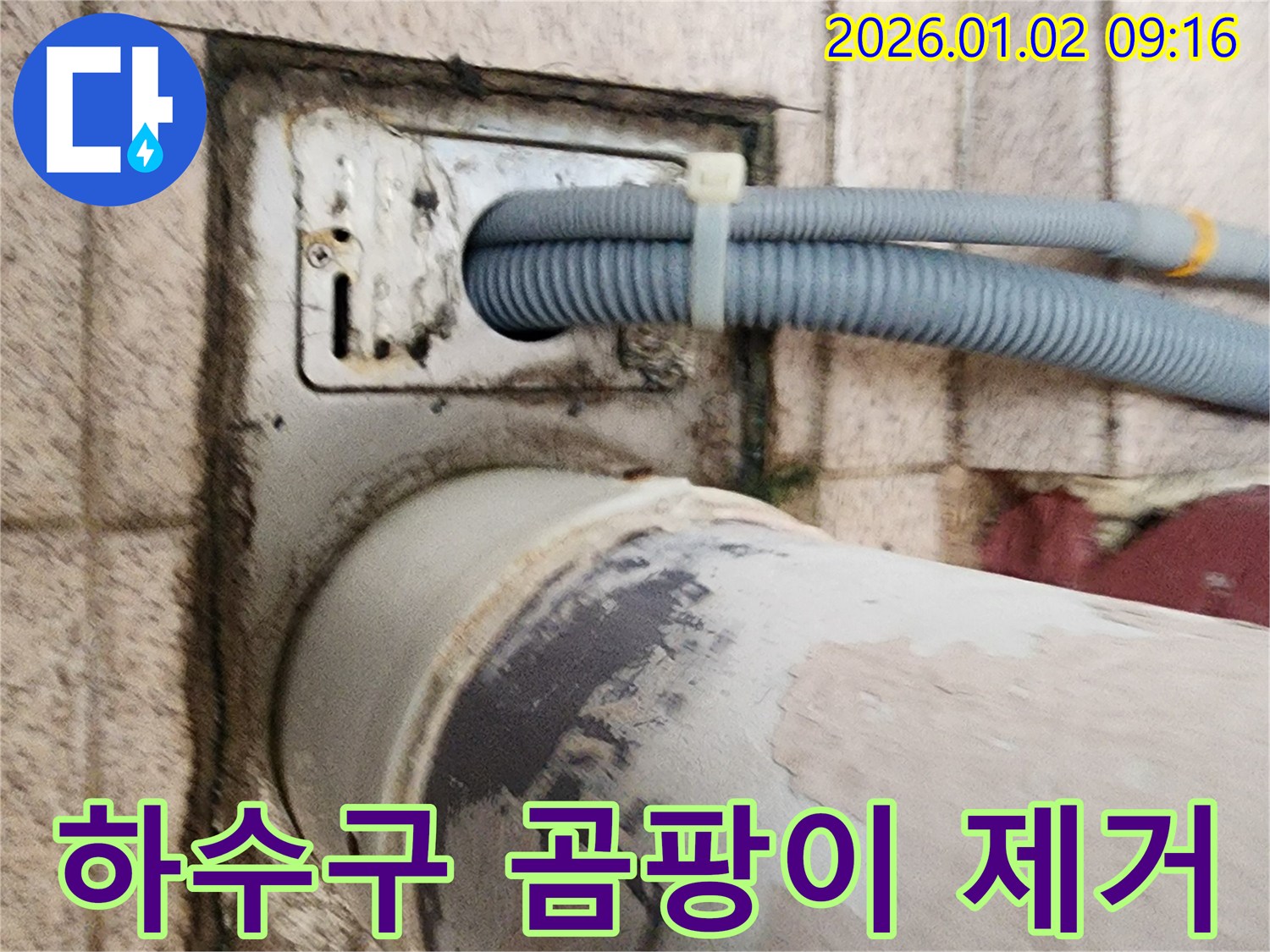 세탁기 하수구 주변 곰팡이 - 하수구 주변에 곰팡이가 심하게 피어 있어 제거하고 있습니다.