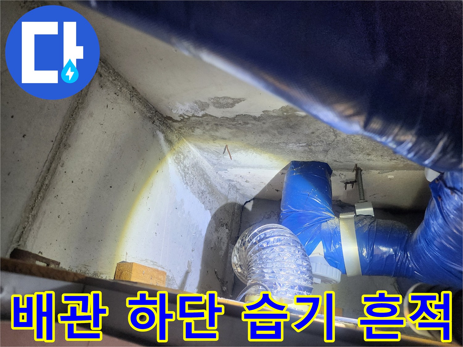 젖은 콘크리트 면과 파란색 보온재가 씌워진 배관의 모습